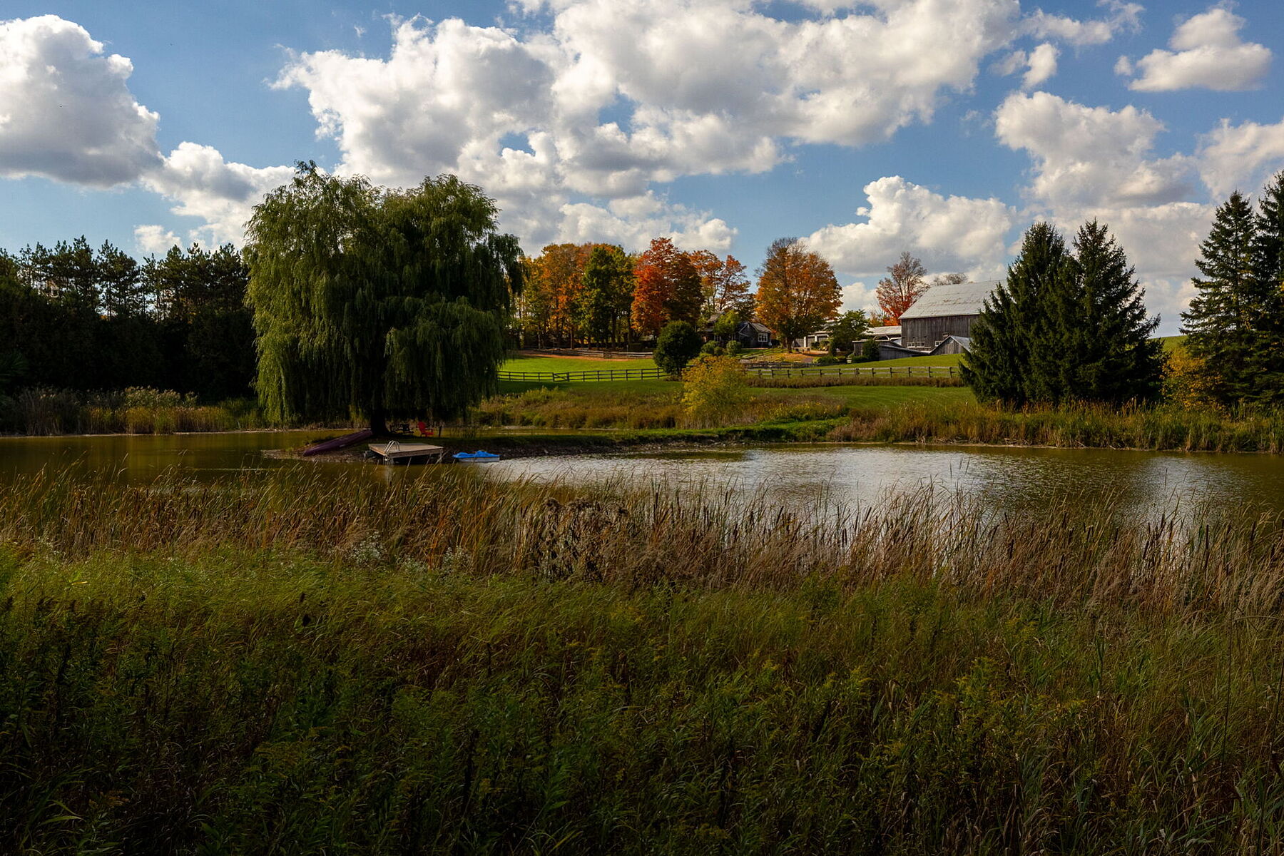  Country Living - 物件實景