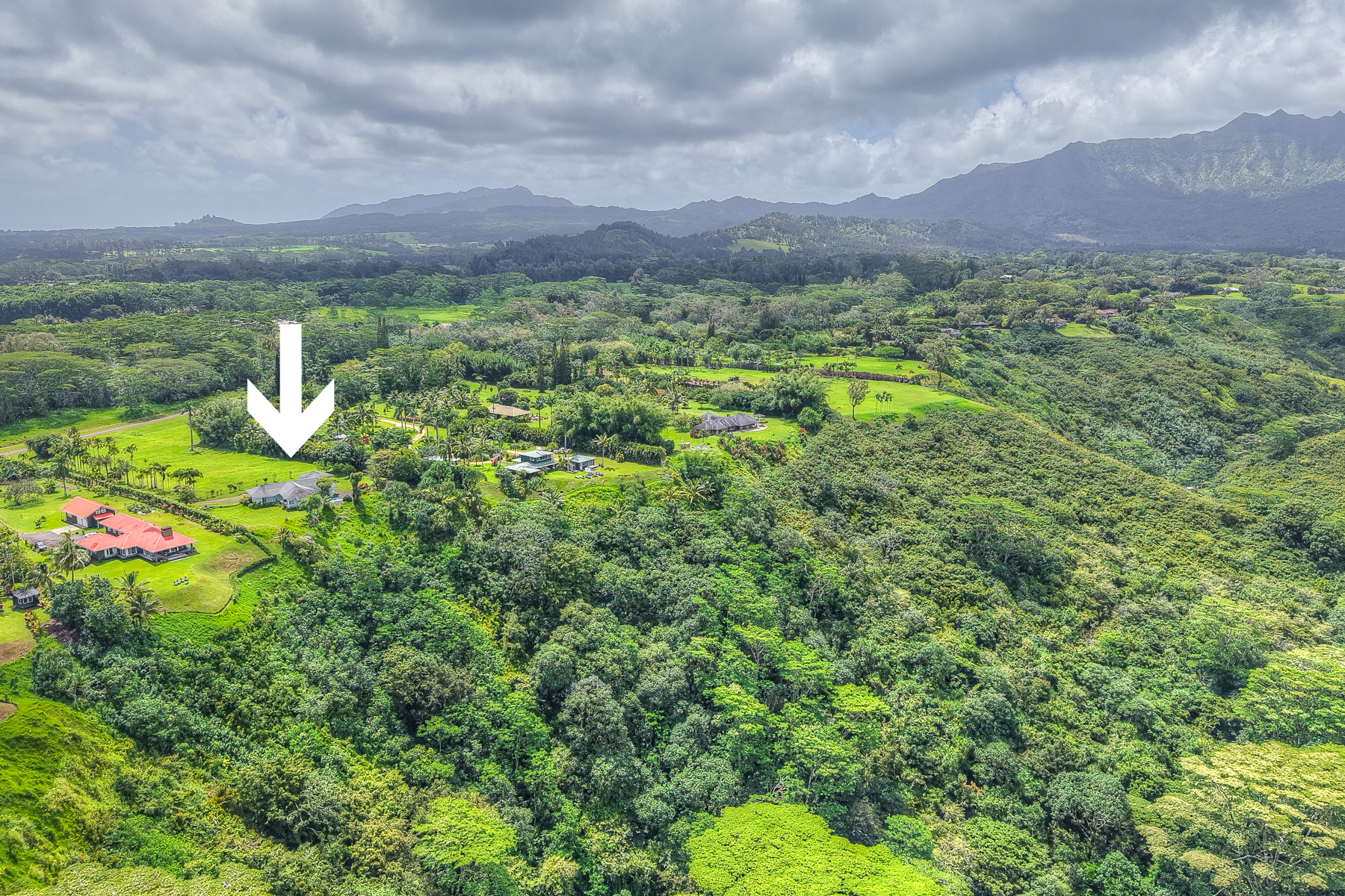  5250-D Kahiliholo Rd, Kilauea, HI, 96754 - 物件實景