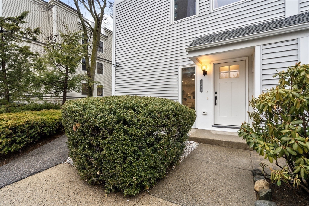 Brookline, Massachusetts, 02446, United States, 3 Bedrooms Bedrooms, ,2 BathroomsBathrooms,Residential,For Sale,1891441