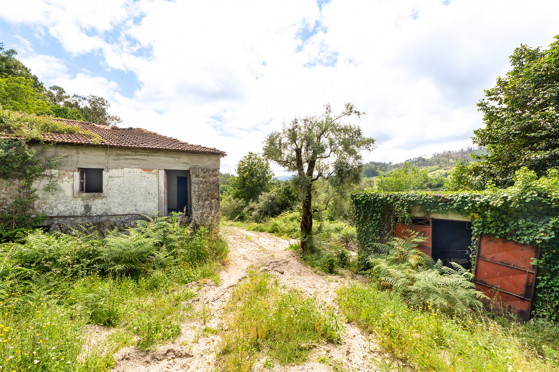  Farm, 3 bedrooms, for Sale - 物件實景