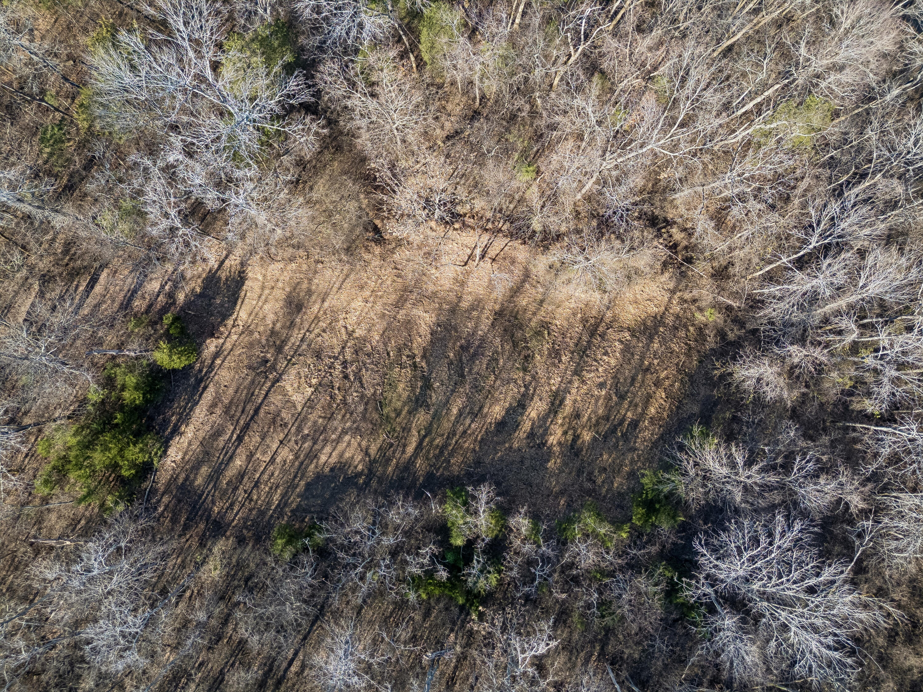 Brentwood, Tennessee, 37027, United States, ,Land,For Sale,2005446