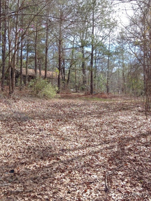 Deatsville, Alabama, 36022, United States, 3 Bedrooms Bedrooms, ,2 BathroomsBathrooms,Residential,For Sale,1834552