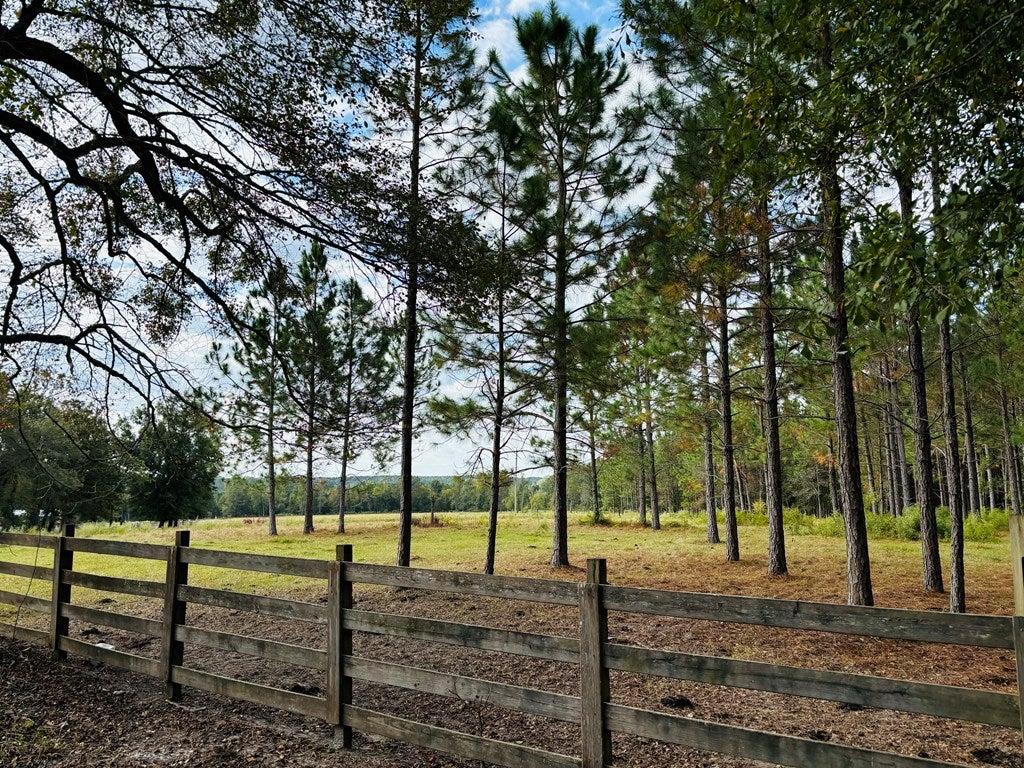 Abbeville, Georgia, 31001, United States, ,Land,For Sale,1975130