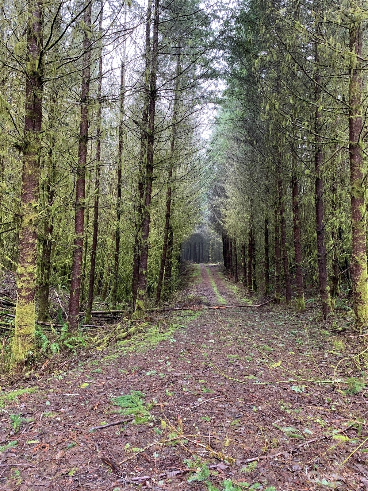 0 Fallert Road, Kalama, Washington, 98625, United States, ,Land,For Sale,0 Fallert Road,1273199