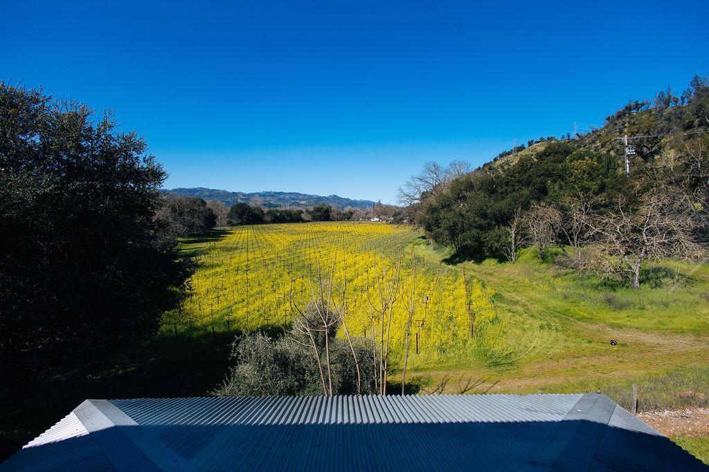 Saint Helena, California, 94574, United States, ,Residential,For Sale,1967962