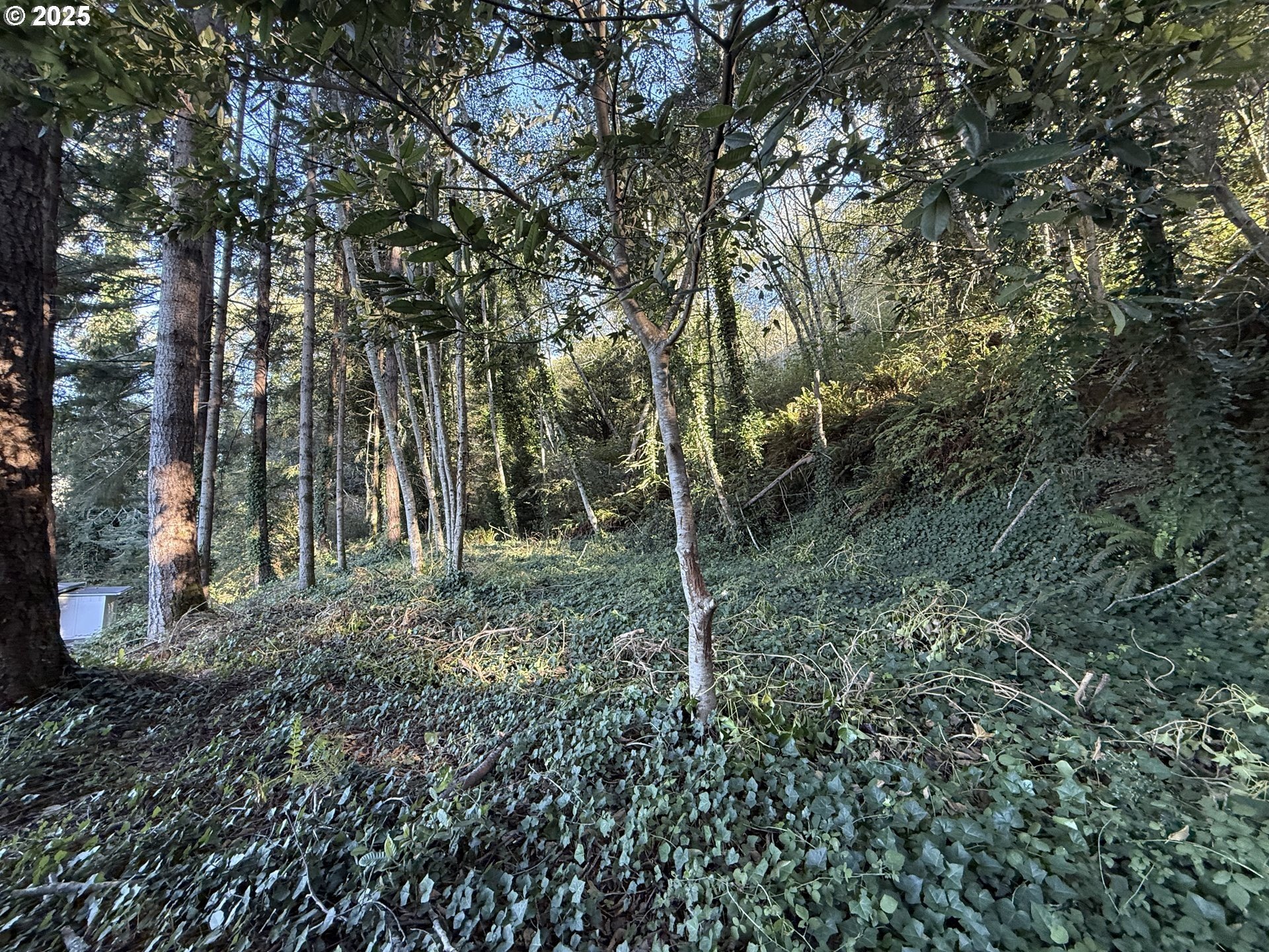 Brookings, Oregon, 97415, United States, 3 Bedrooms Bedrooms, ,2 BathroomsBathrooms,Residential,For Sale,1980160