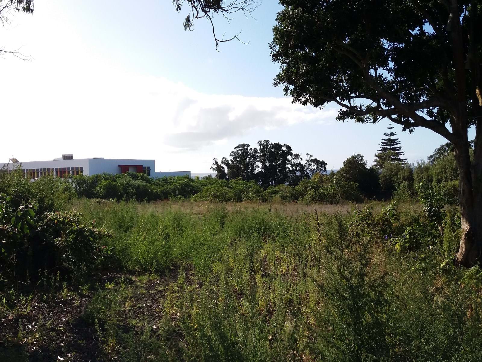 Ponta Delgada, Ilha de São Miguel, 9500-000, PT, ,Land,For Sale,1700309