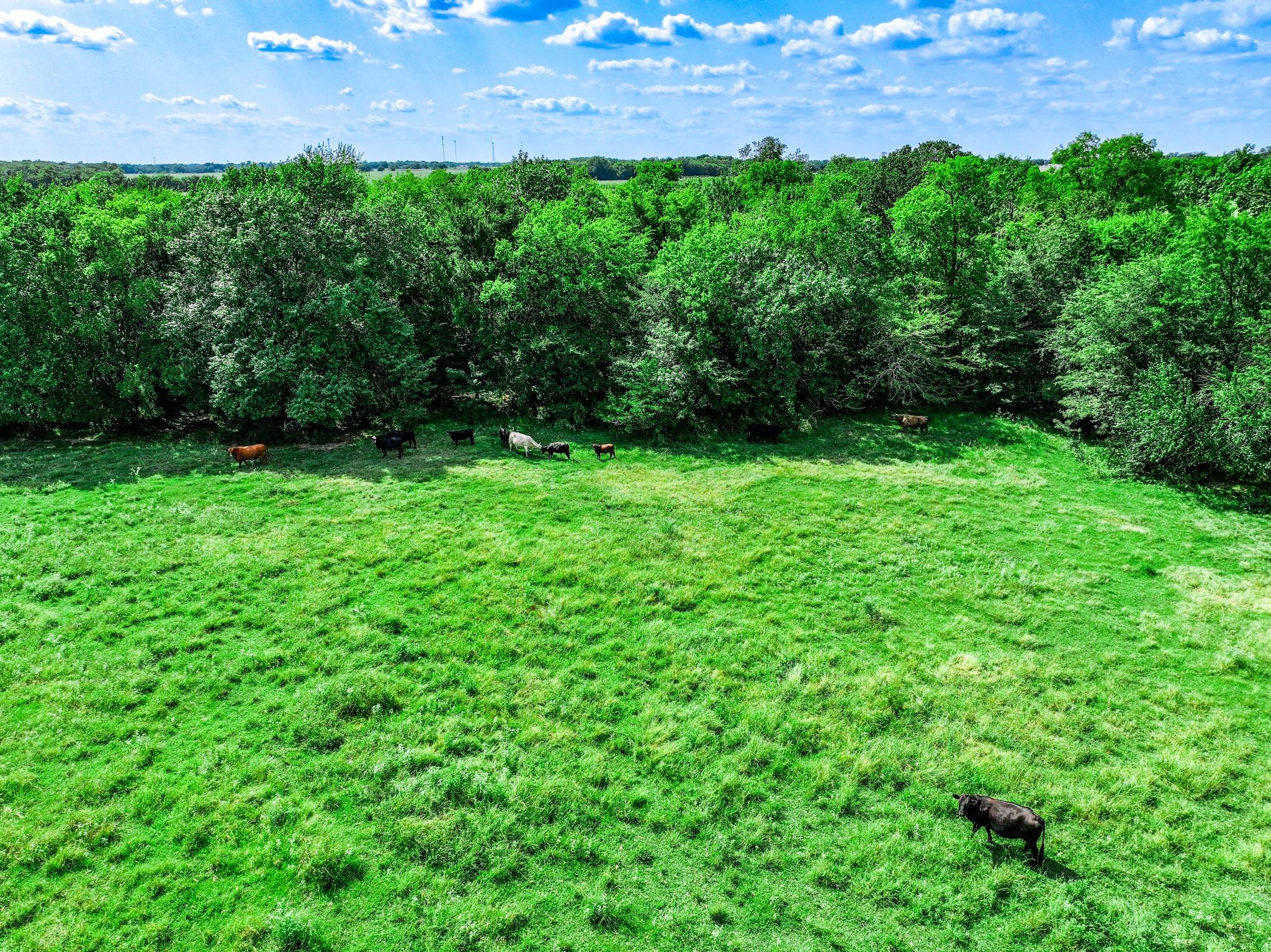 Cumby, Texas, 75433, United States, 3 Bedrooms Bedrooms, ,2 BathroomsBathrooms,Residential,For Sale,1976909