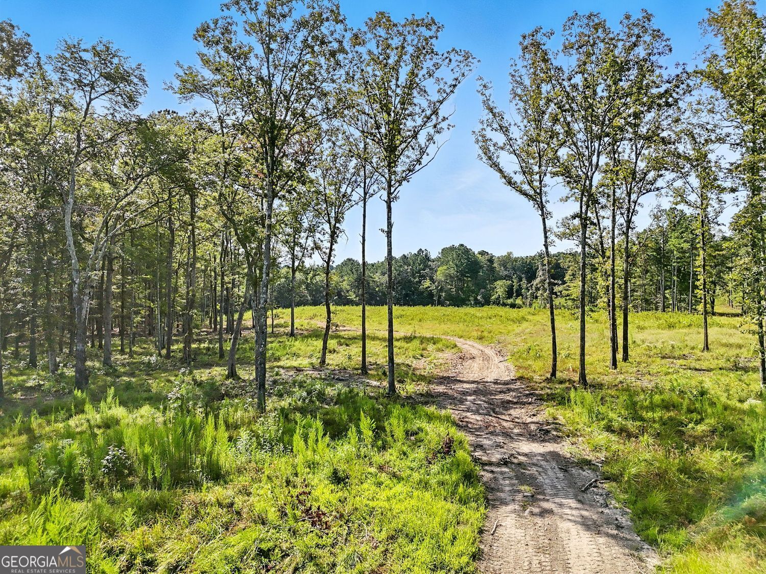 Kingston, Georgia, 30145, United States, ,Land,For Sale,1912836