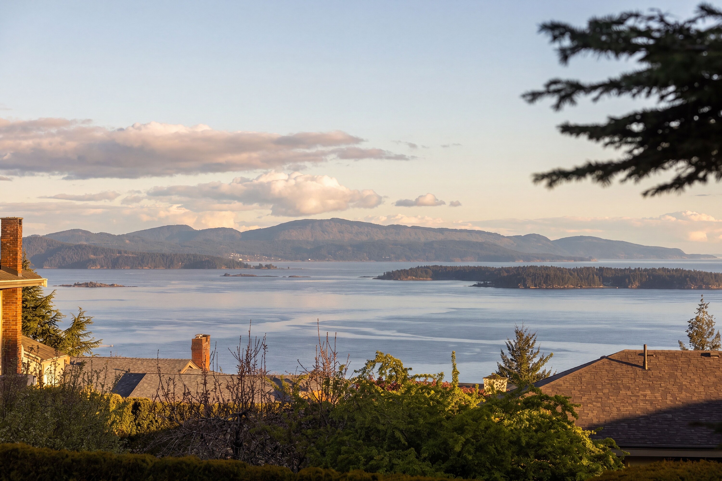  Dean Park Opportunity - 物件實景