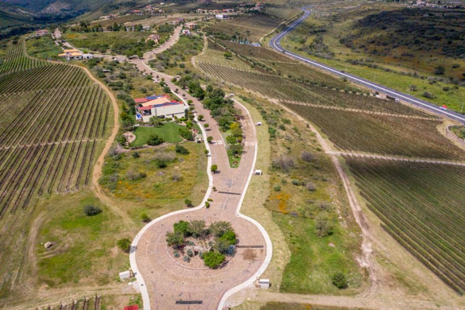 Malbec, San Miguel de Allende, Guanajuato, 37898, Mexico, 1 Bedroom Bedrooms, ,Residential,For Sale,Malbec,1443575