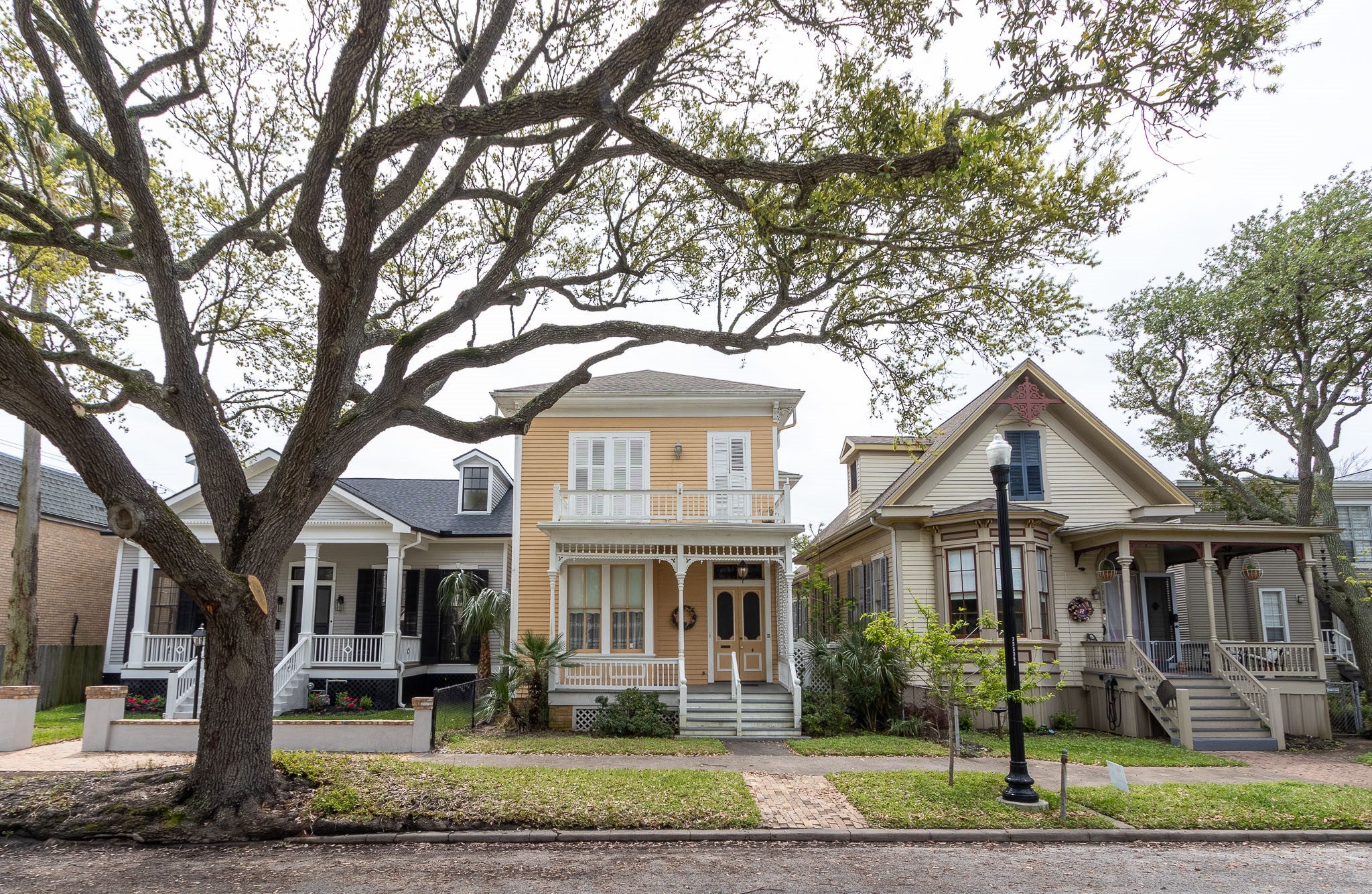 Sealy St, Galveston, TX 77550 #1