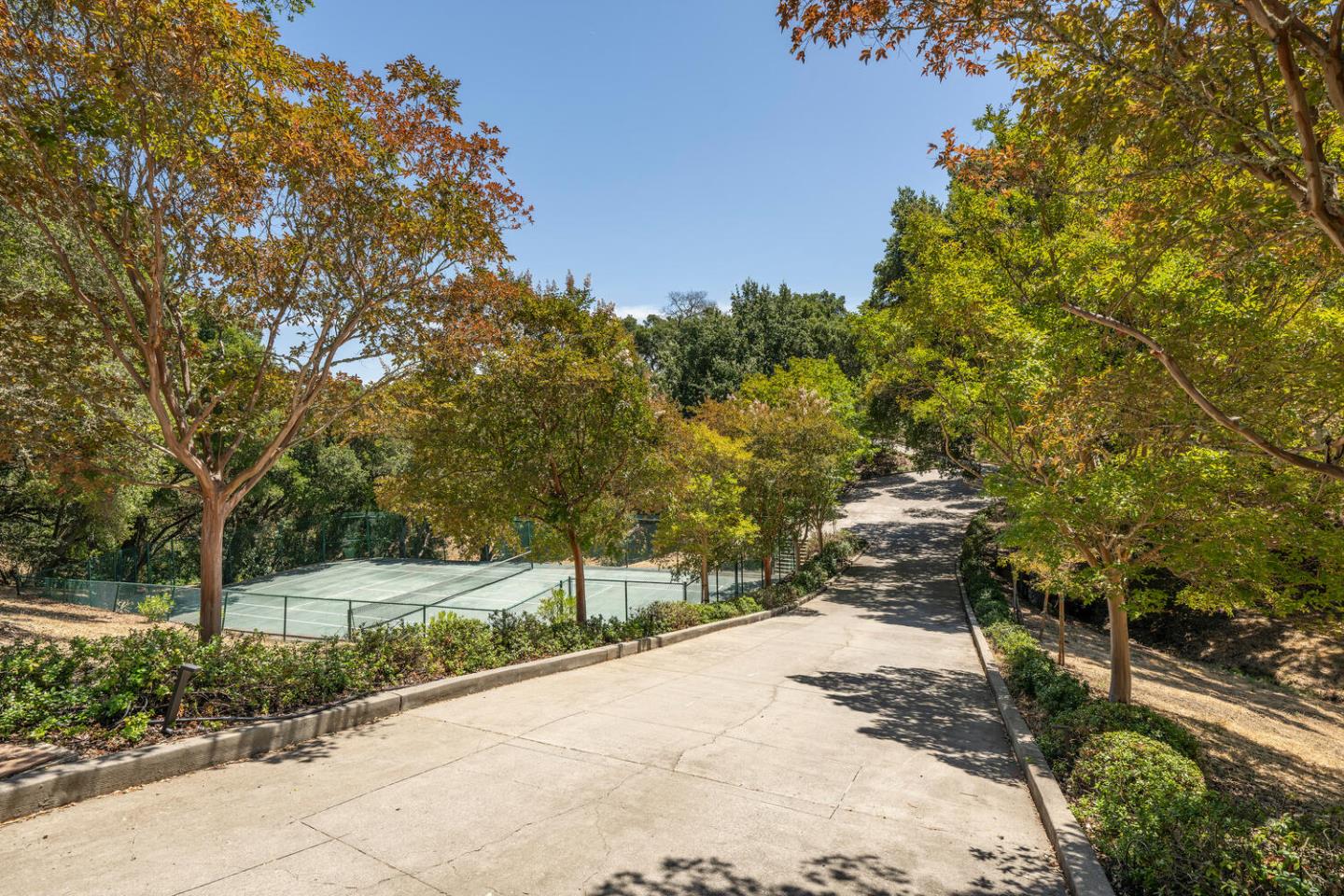 Woodside, California, 94062, United States, 4 Bedrooms Bedrooms, ,5 BathroomsBathrooms,Residential,For Sale,1911860