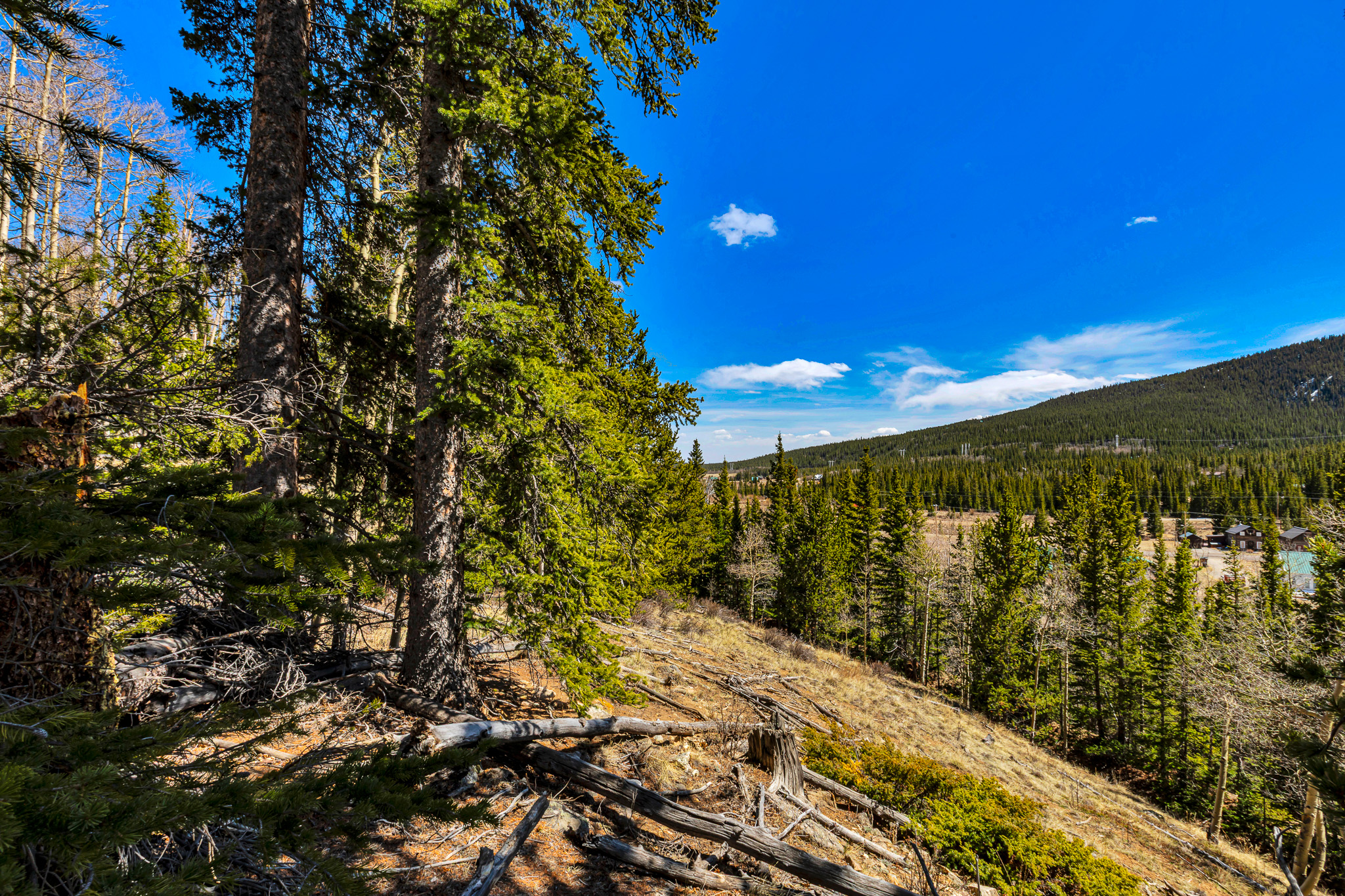 270 Co Rd 667, Alma, CO, 80440 - 物件實景