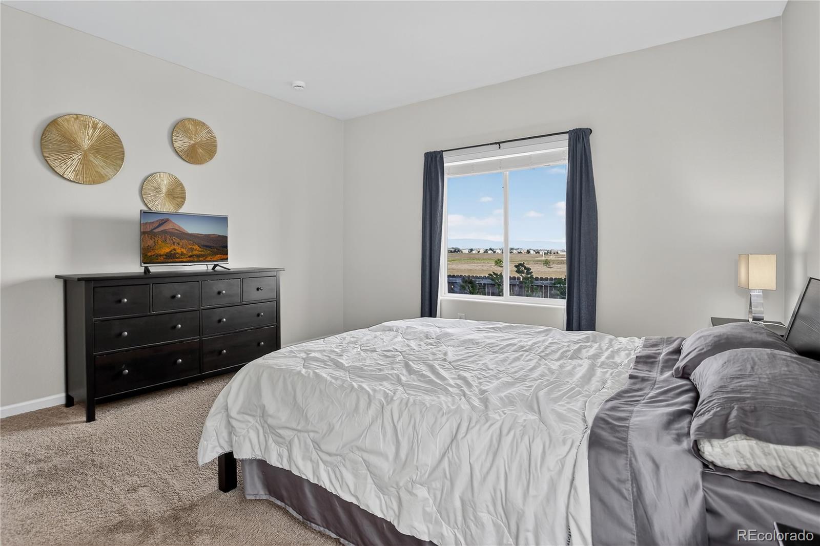 Dacono, Colorado, 80514, United States, 3 Bedrooms Bedrooms, ,2 BathroomsBathrooms,Residential,For Sale,1939654