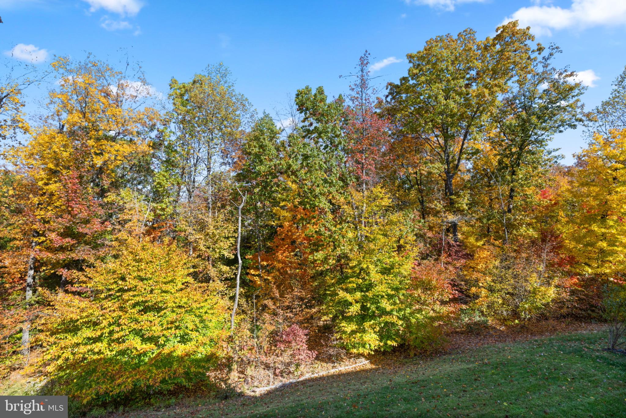 Stafford, Virginia, 22554, United States, 4 Bedrooms Bedrooms, ,5 BathroomsBathrooms,Residential,For Sale,1988642