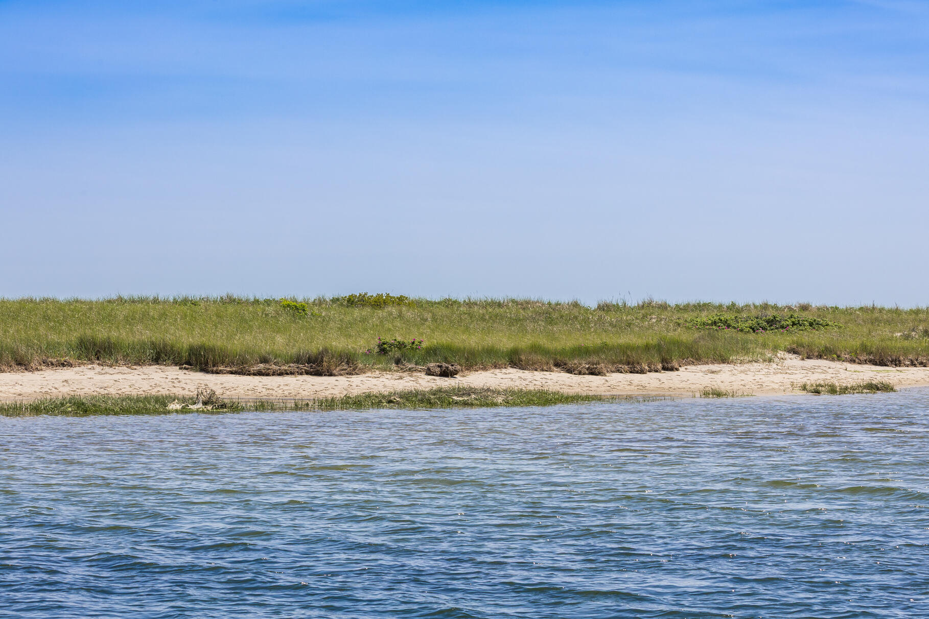  818 S Main Street - 物件實景