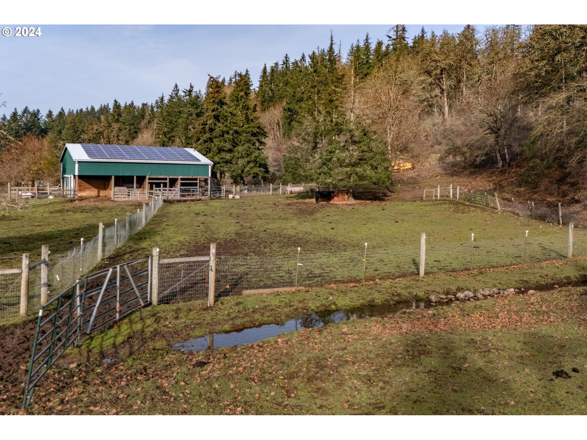 33020 S Dickey Prairie Rd, Molalla, Oregon, 97038, United States, 4 Bedrooms Bedrooms, ,3 BathroomsBathrooms,Residential,For Sale,33020 S Dickey Prairie Rd,1670604