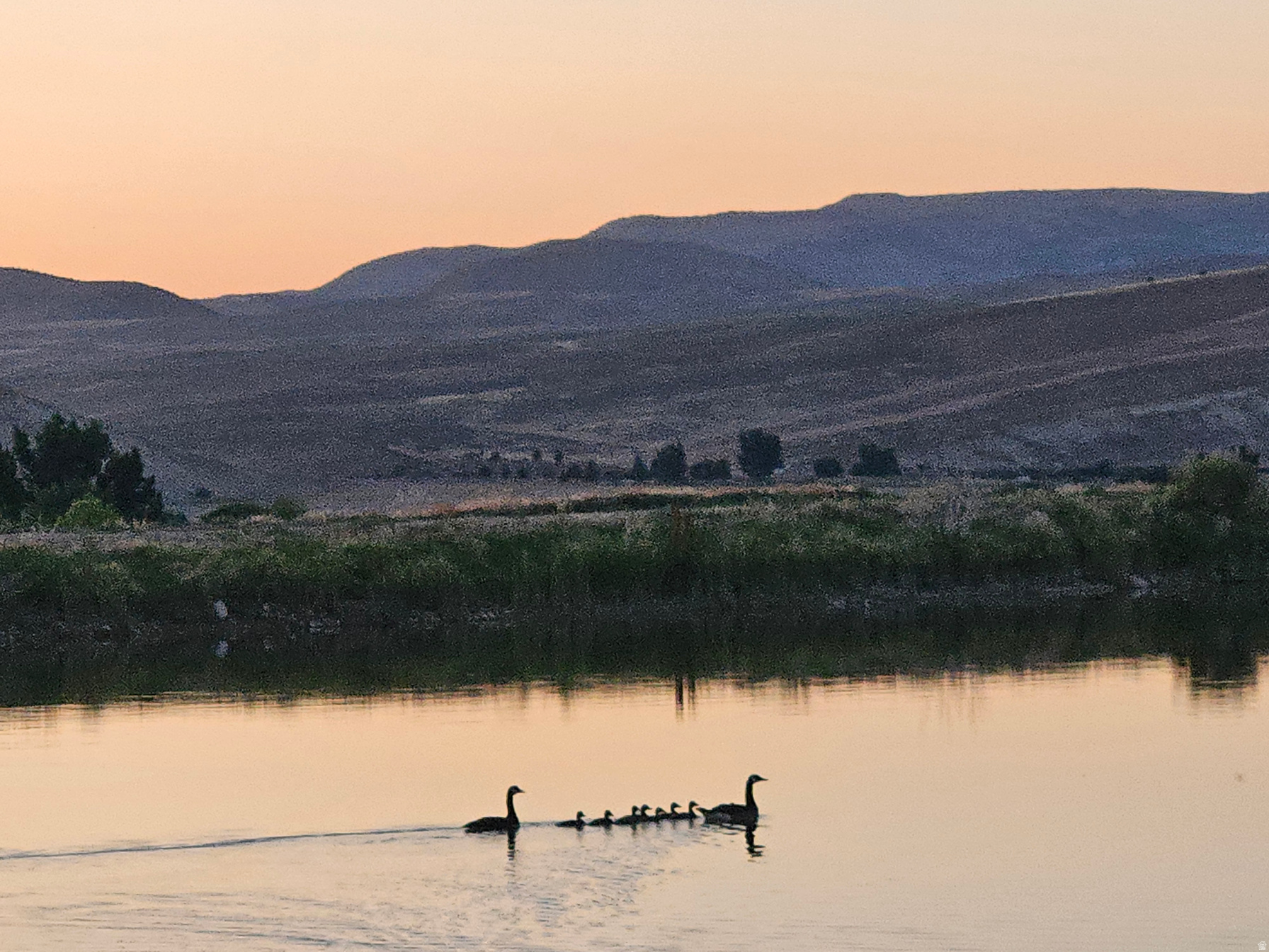 Gunnison, Utah, 84634, United States, 9 Bedrooms Bedrooms, ,6 BathroomsBathrooms,Land,For Sale,1988115