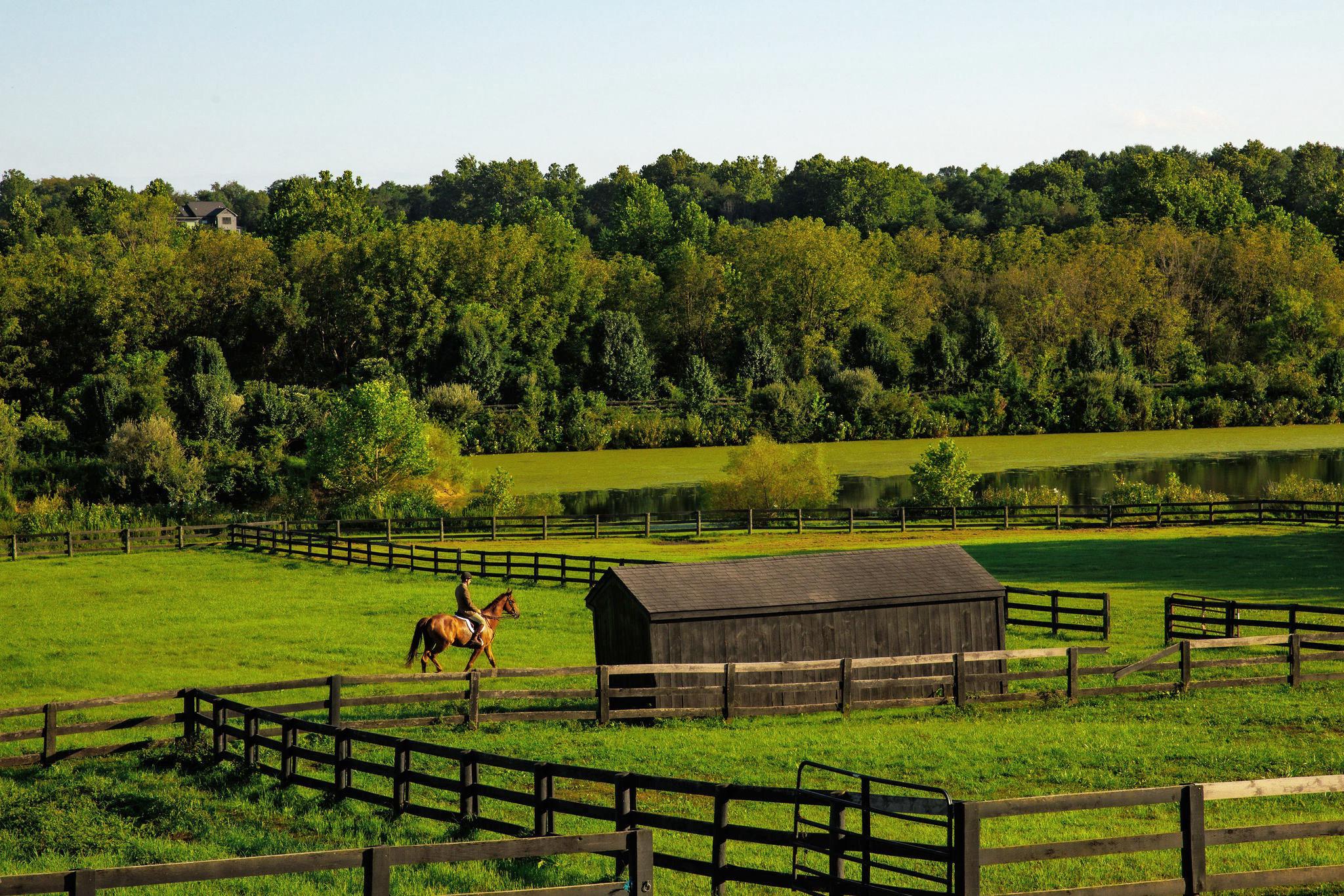  15158 Berlin Turnpike, Purcellville, VA, 20132 - 物件實景