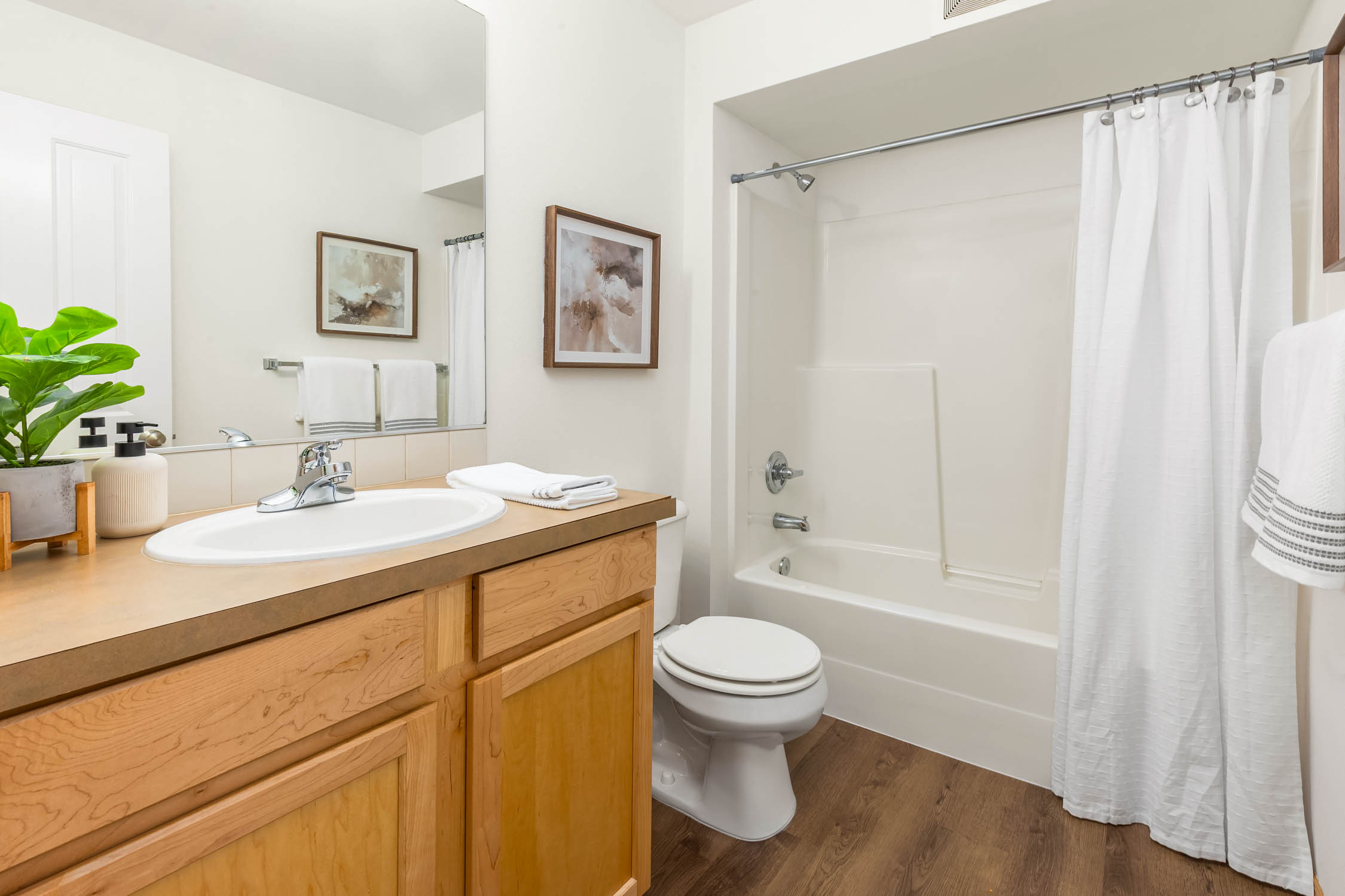  Newly Refreshed Condo in Issaquah - 物件實景