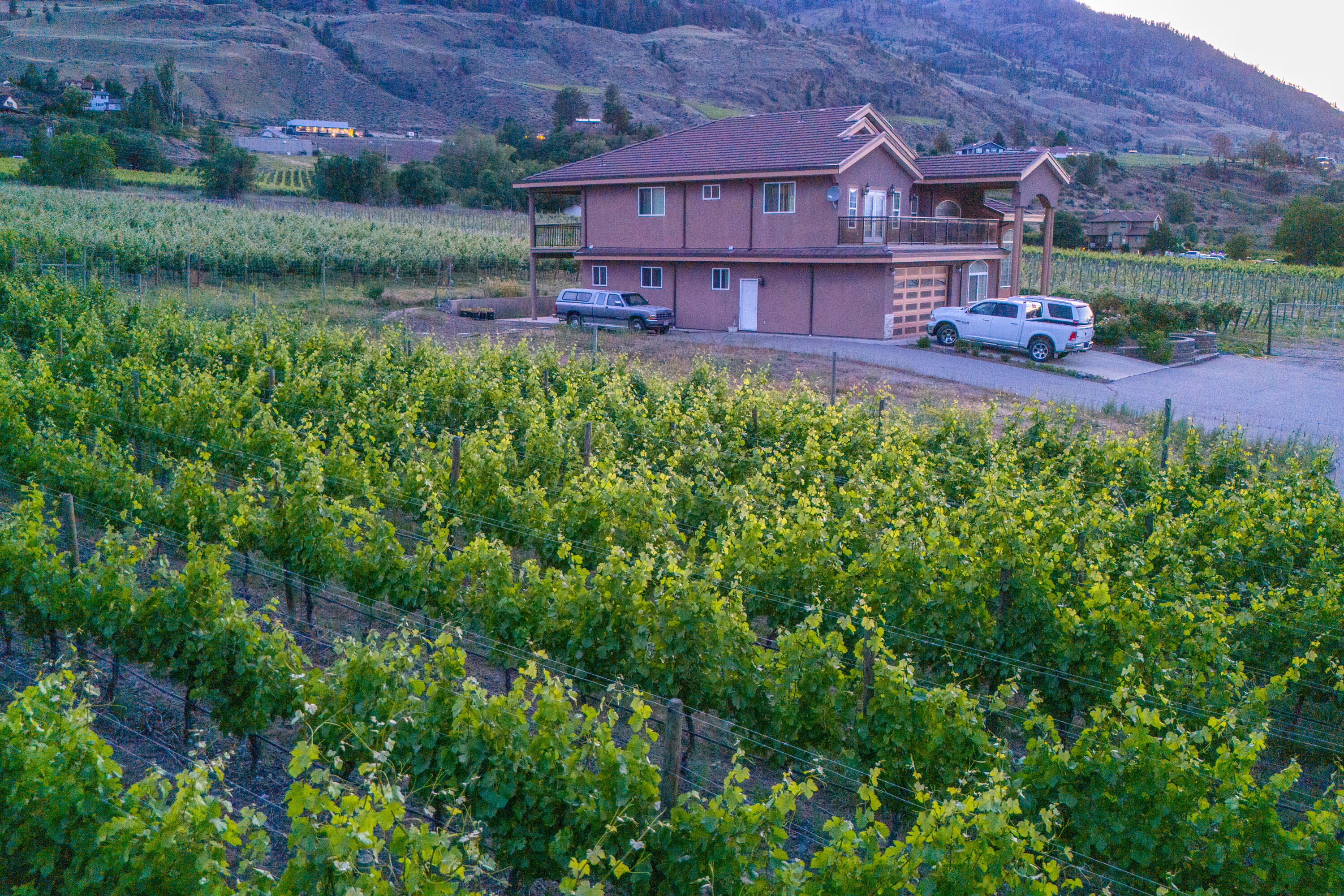  Vineyard Estate Receivership - 物件實景