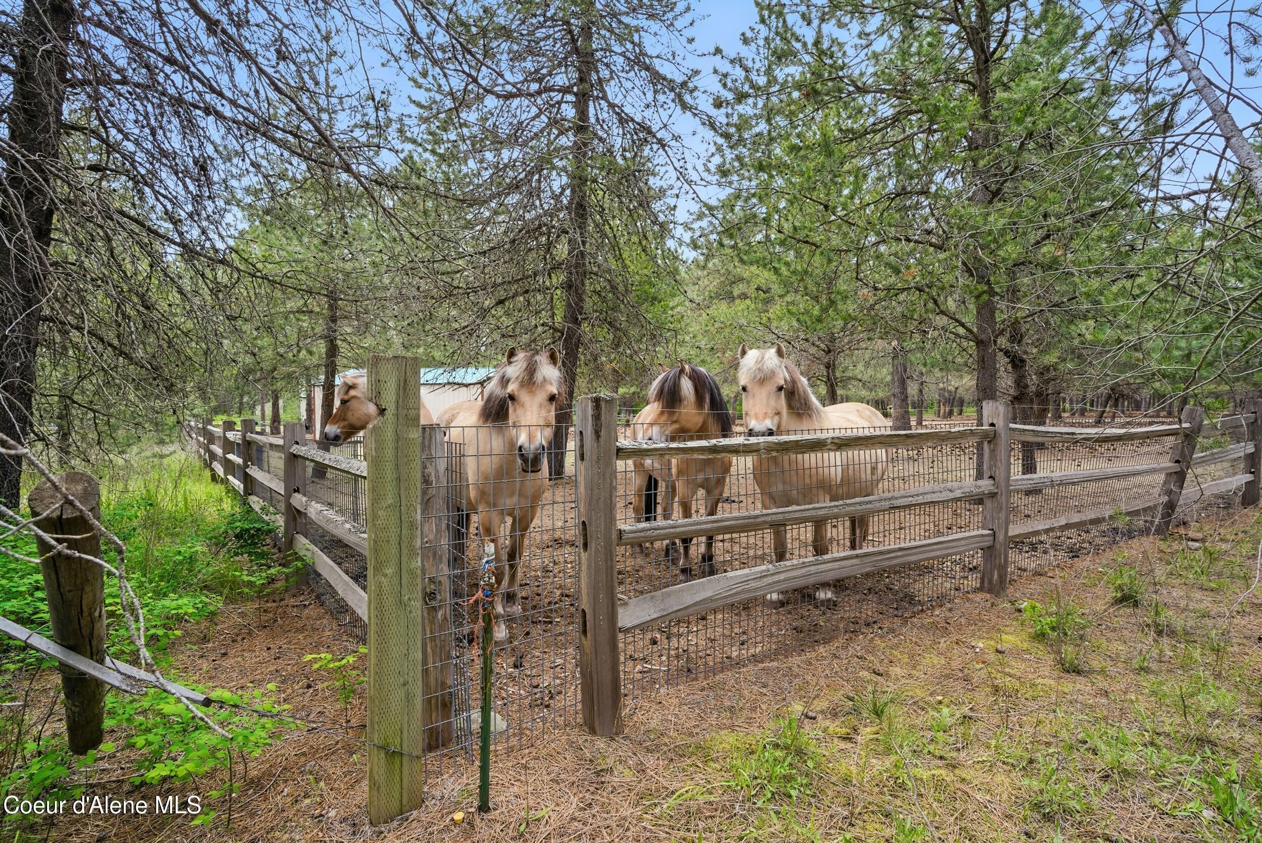 Athol, Idaho, 83801, United States, 6 Bedrooms Bedrooms, ,6 BathroomsBathrooms,Residential,For Sale,1975290