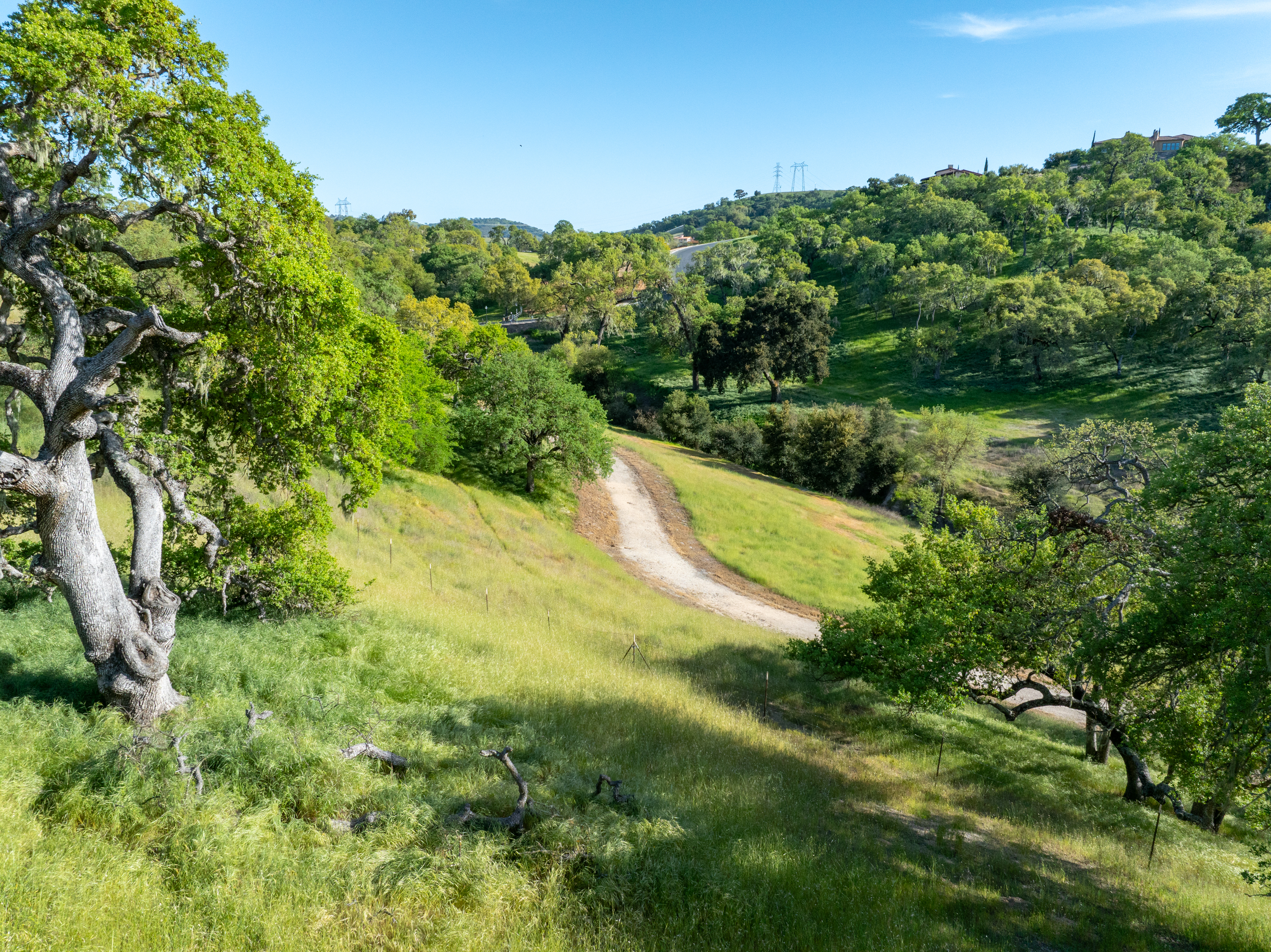  2925 Warm Springs Lane - 物件實景