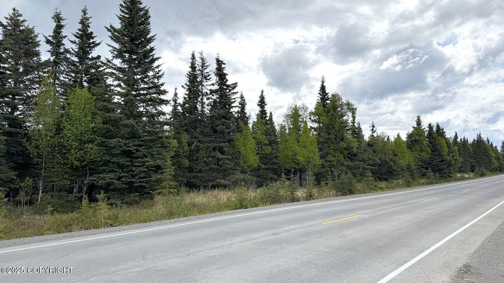 Kasilof, Alaska, 99610, United States, ,Land,For Sale,1975582