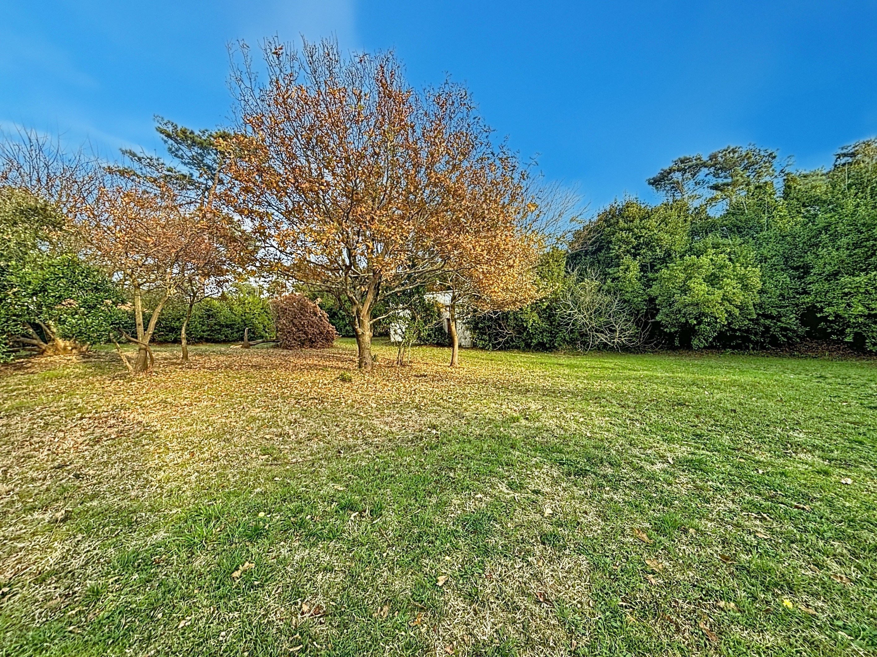  Amazing property close to the beach - 物件實景