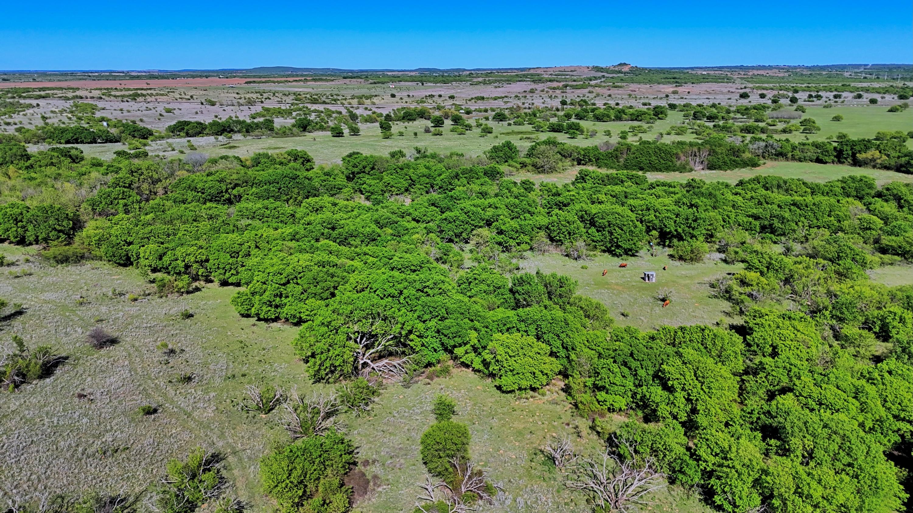  180 +/- Acre Multi-use North Texas Ranch - 物件實景