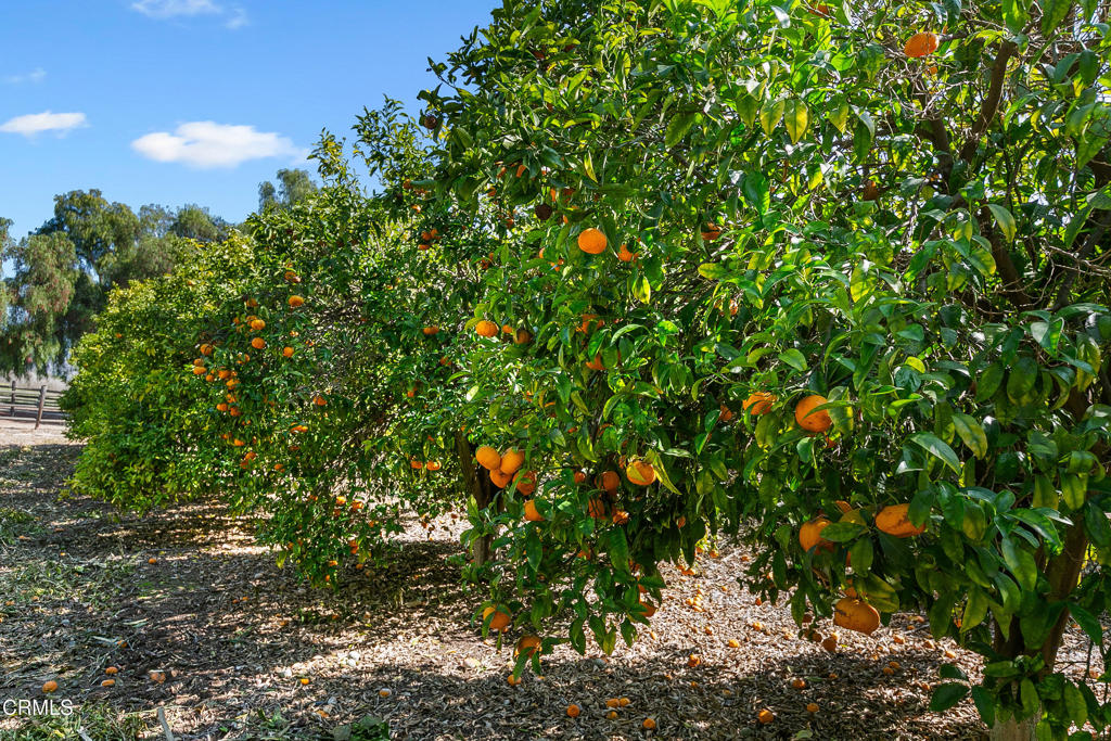 Camarillo, California, 93012, United States, 5 Bedrooms Bedrooms, ,7 BathroomsBathrooms,Residential,For Sale,1996163