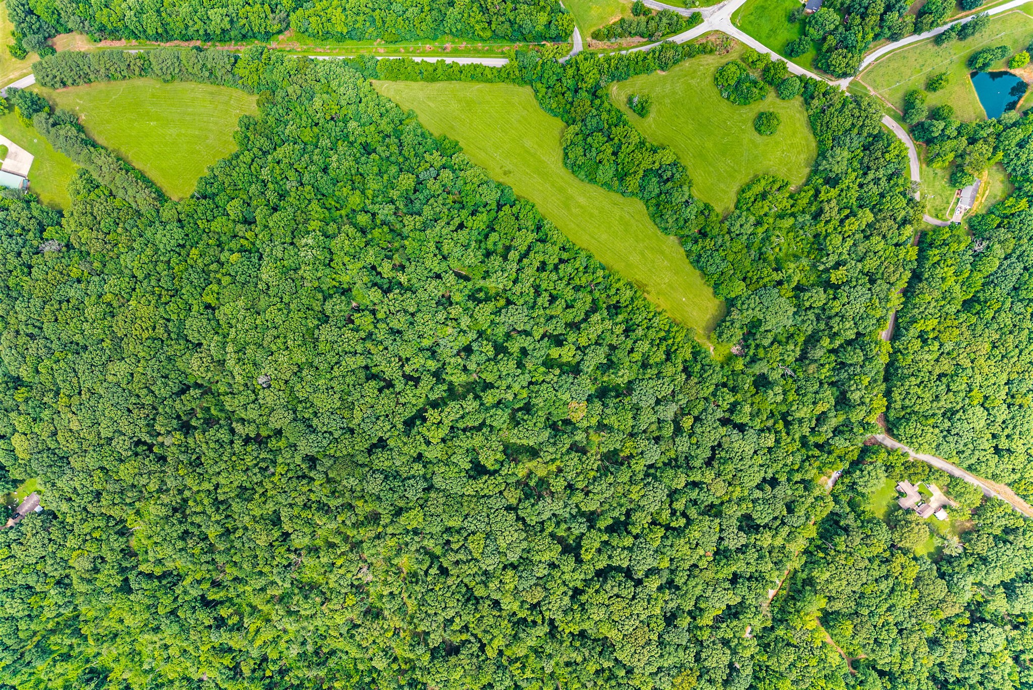  196 Wildlife Road, Dover, TN, 37058 - 物件實景
