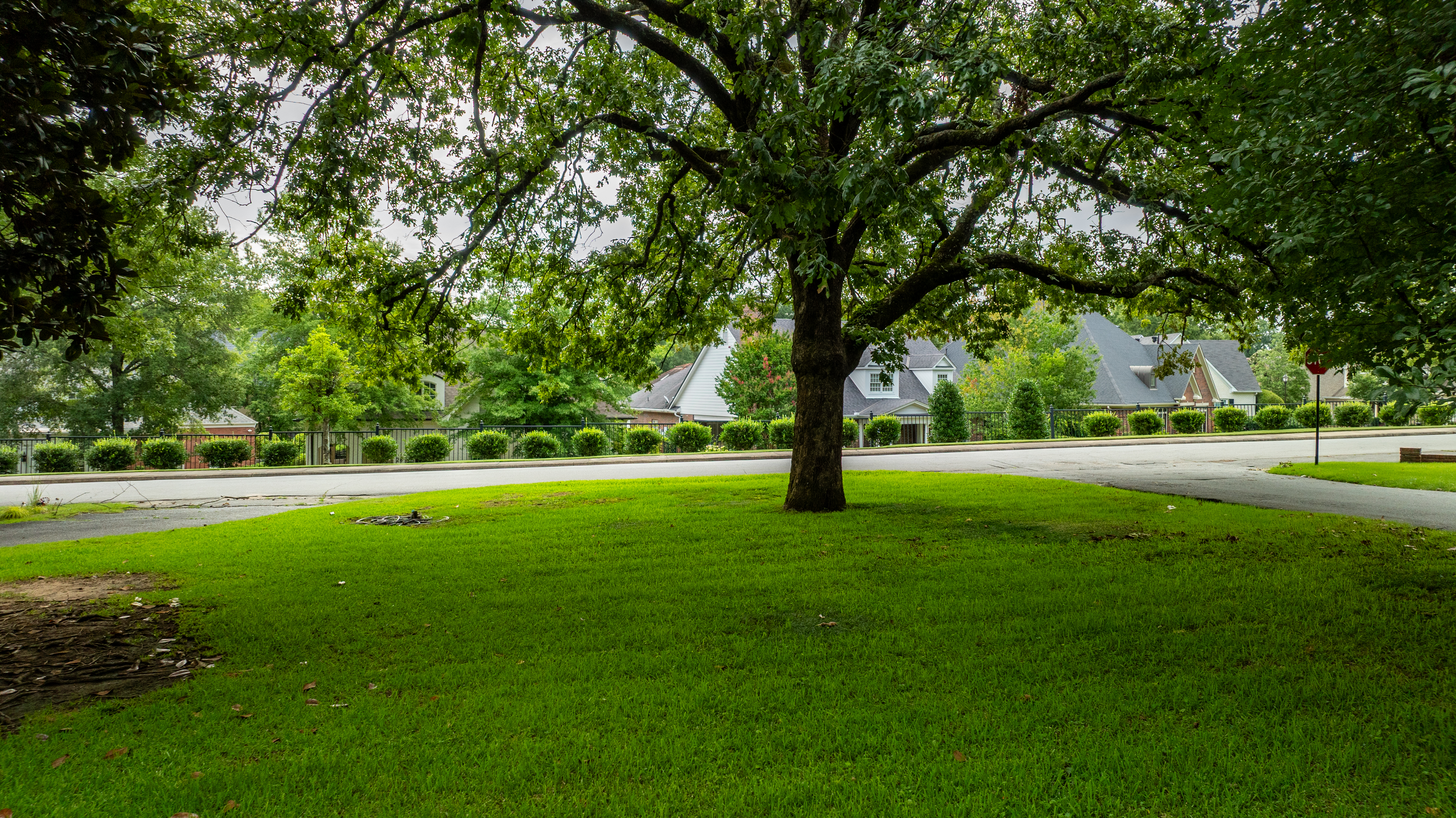  2500 N Taylor St, Little Rock, AR, 72207 - 物件實景