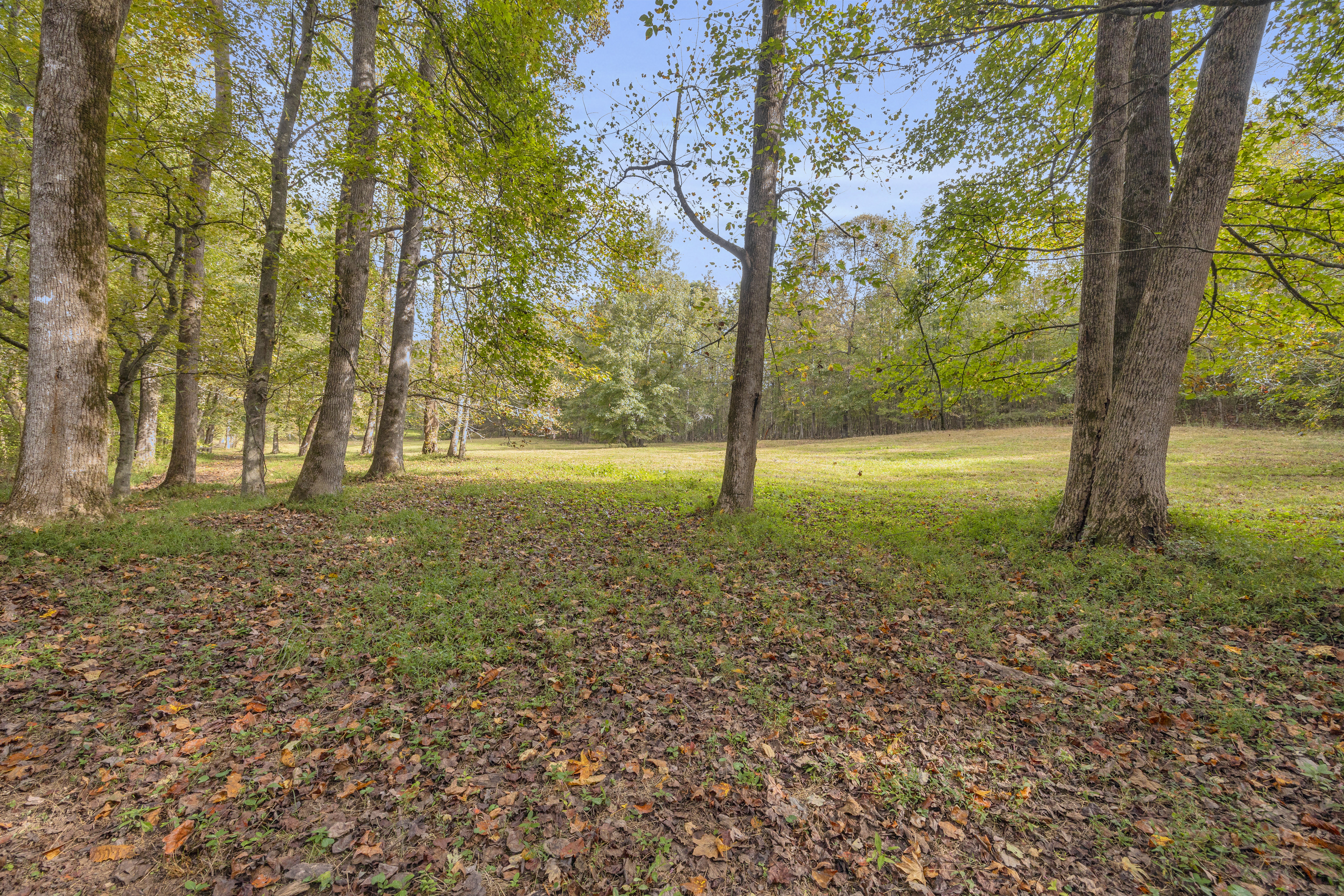 Cleveland, Georgia, 30528, United States, 3 Bedrooms Bedrooms, ,2 BathroomsBathrooms,Residential,For Sale,1979350