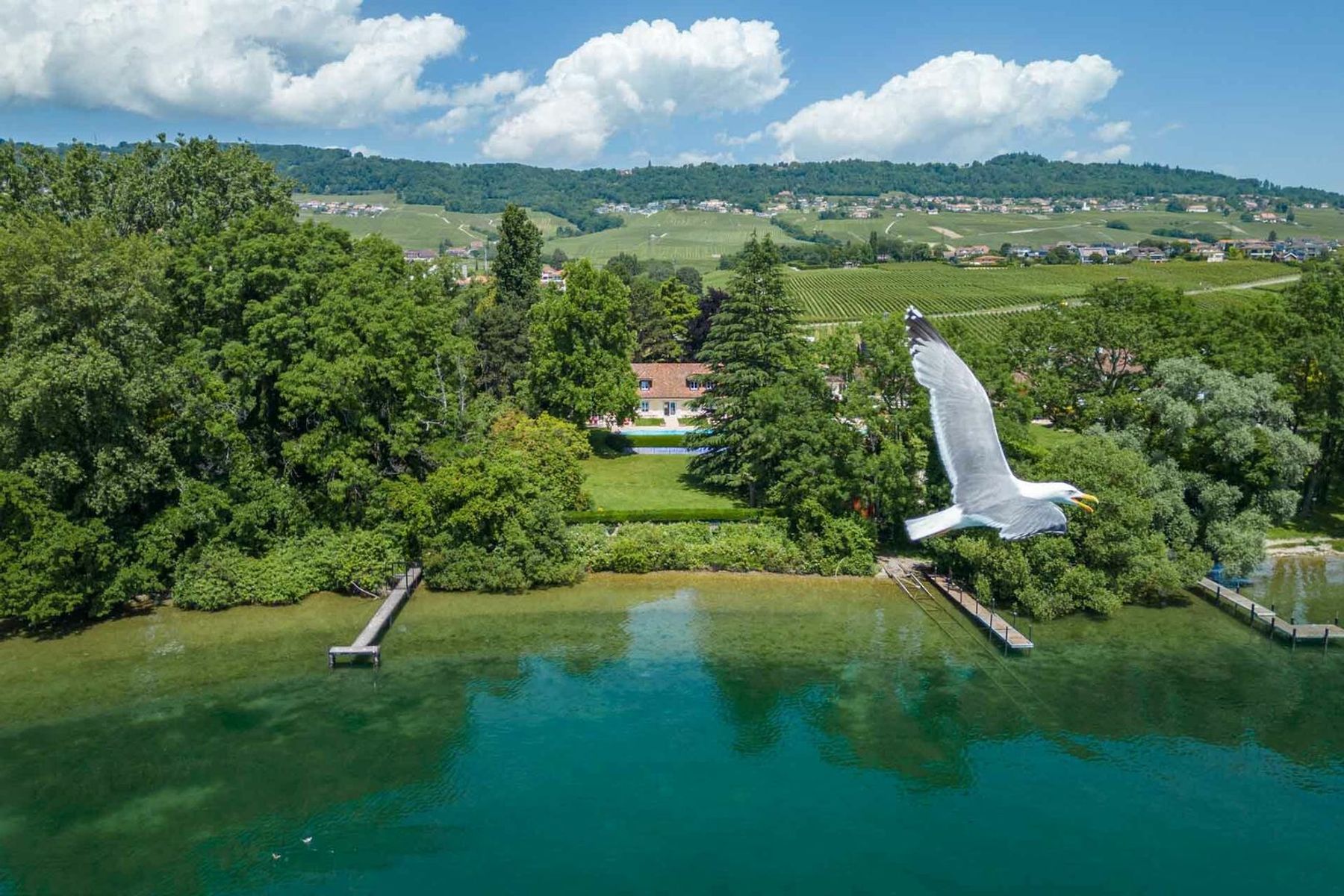  Rare and exclusive waterfront property - 物件實景