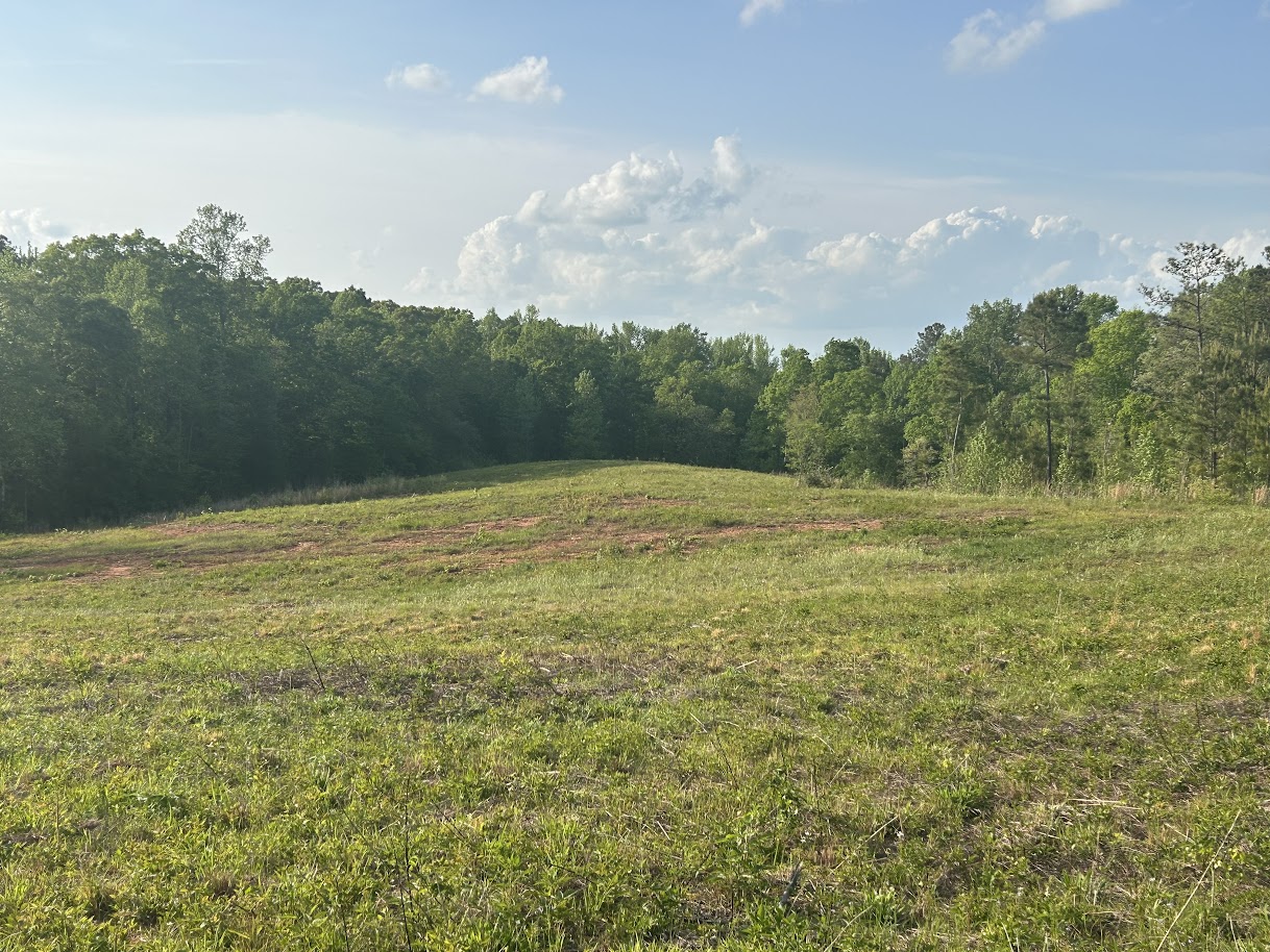 Roopville, Georgia, 30170, United States, ,Residential,For Sale,1780793