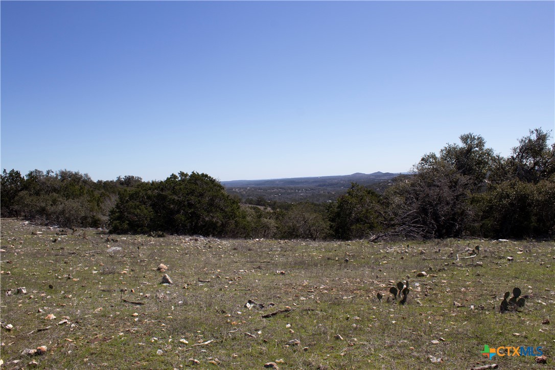 Blanco, Texas, 78606, United States, ,Land,For Sale,1877440