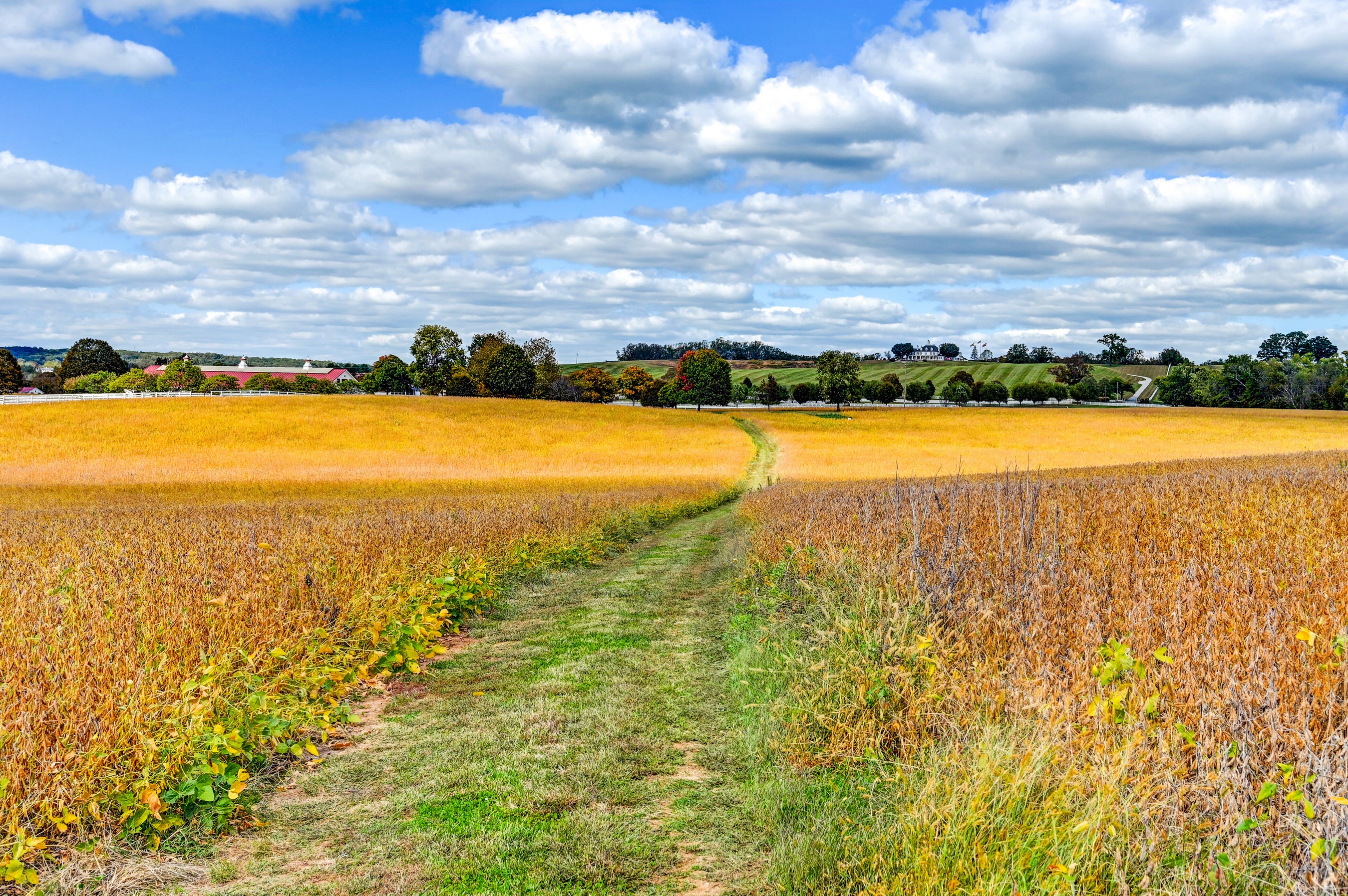  Worthington Valley - 物件實景