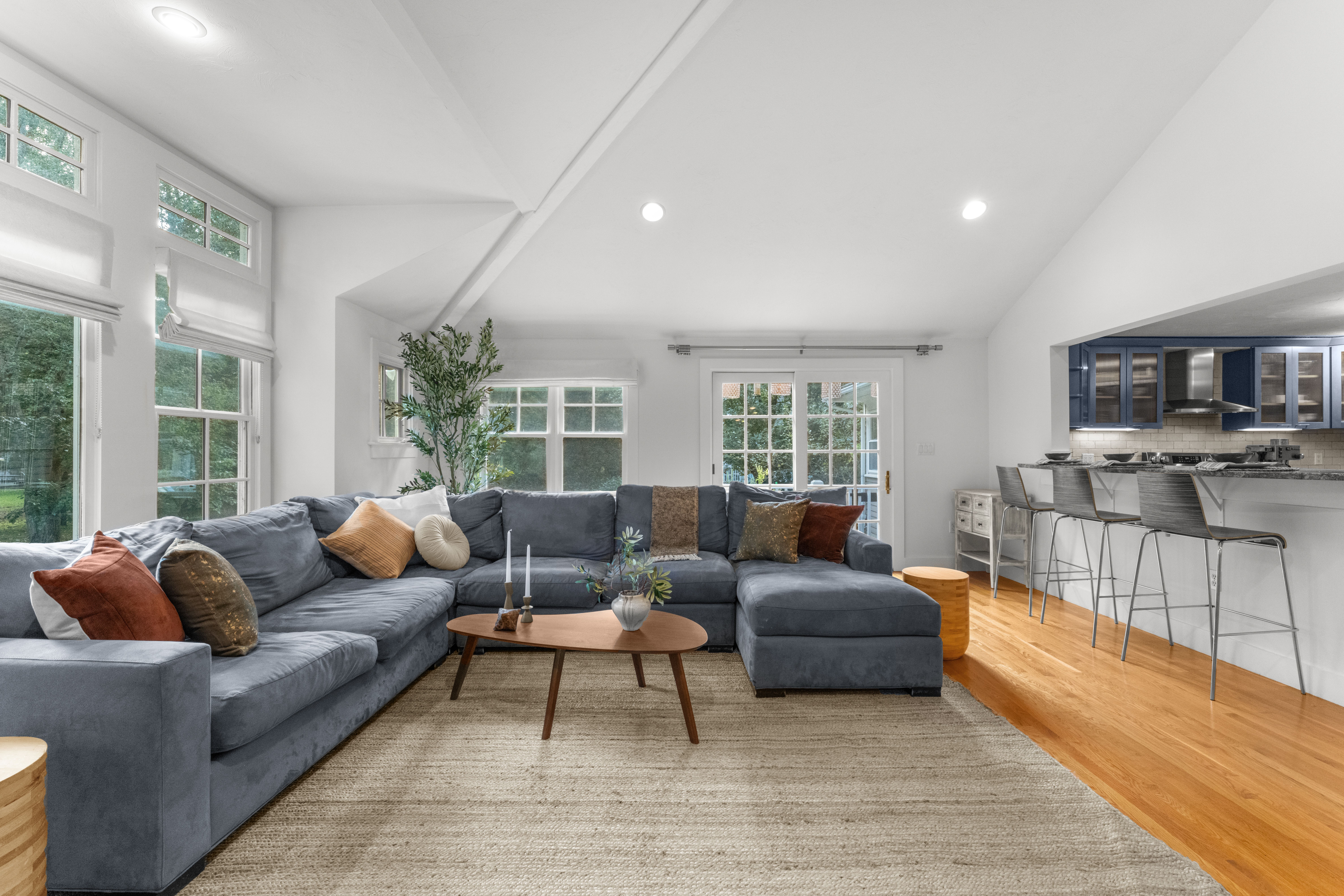  38 Hunnewell Street, Needham, MA, 02494 - 物件實景