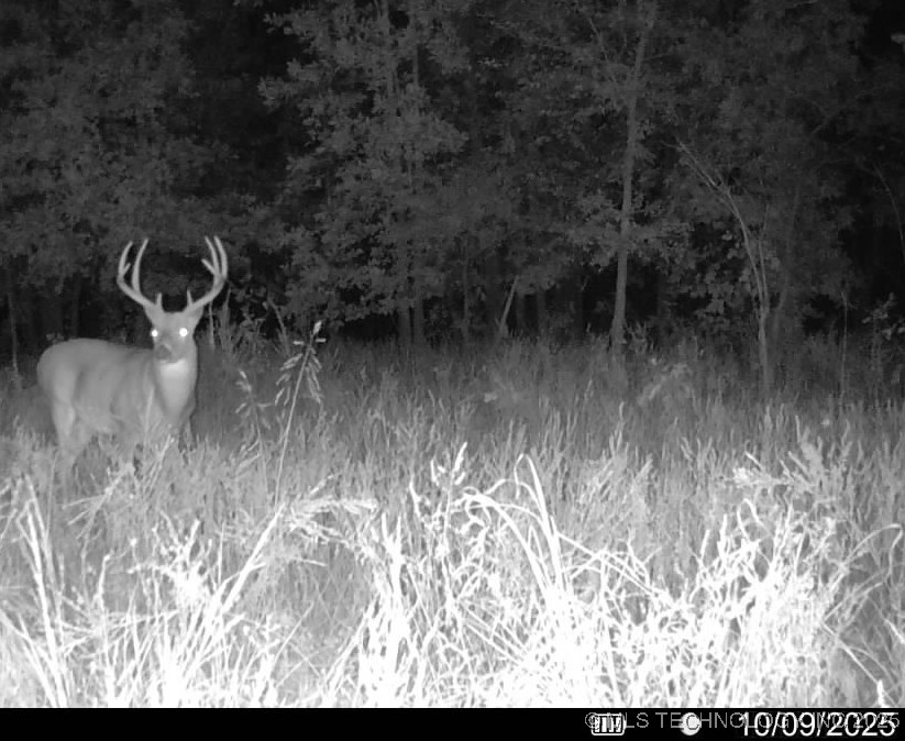 Haskell, Oklahoma, 74436, United States, ,Residential,For Sale,1989173