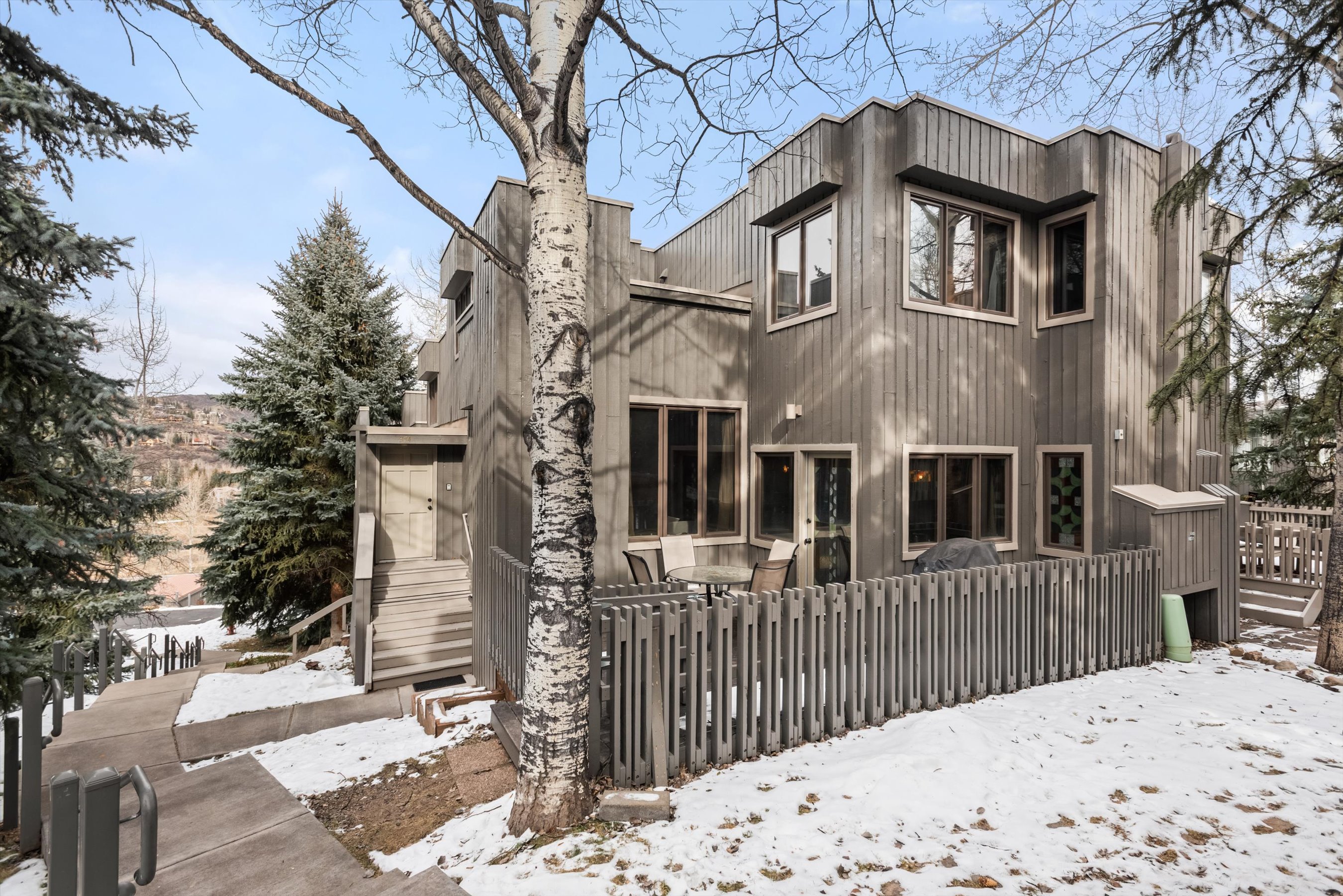  374 Meadow Ranch Road, Snowmass Village, CO, 81615 - 物件實景
