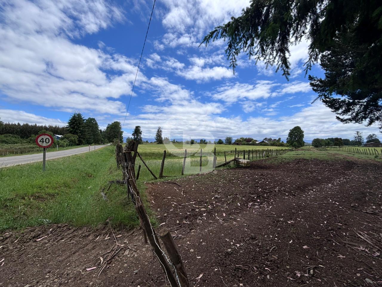 Fresia, Chile, ,Land,For Sale,2003048