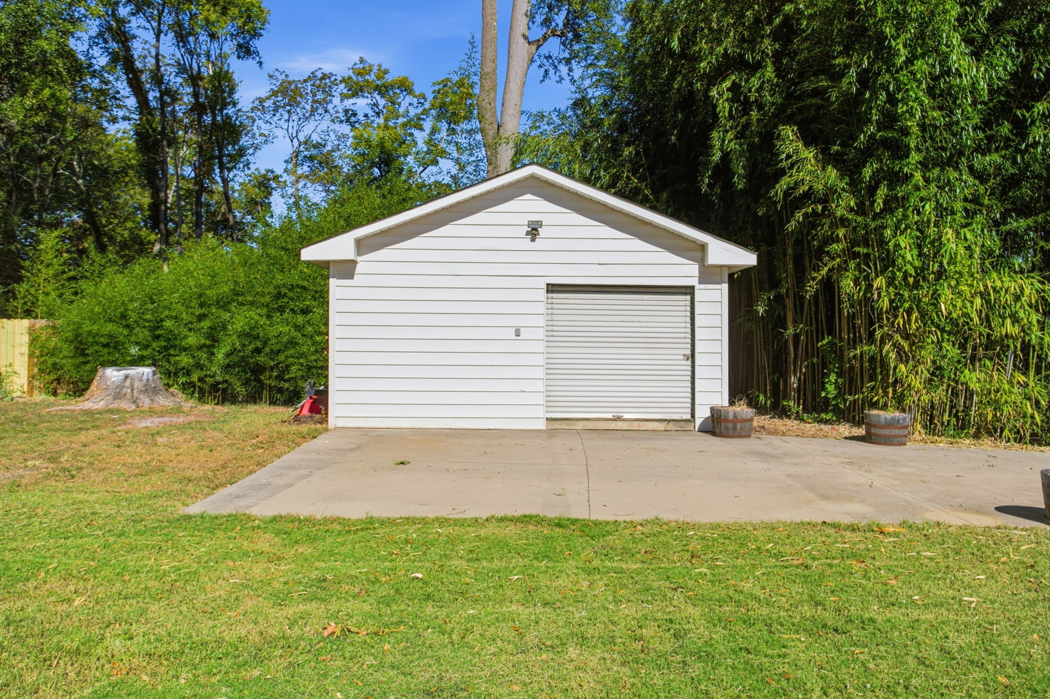  19 David Street, Greenville, SC 29609 - 物件實景