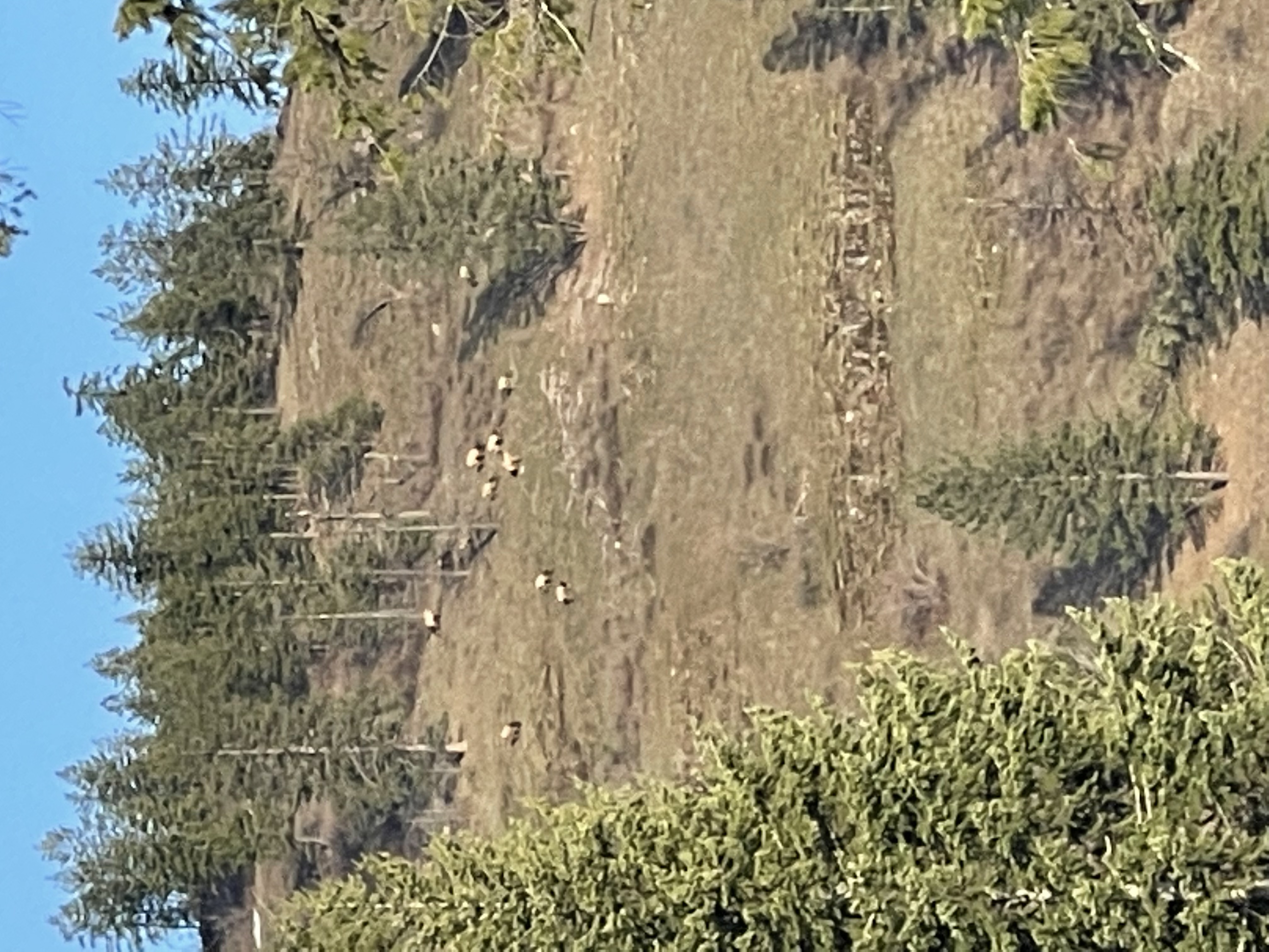 Clark Fork, Idaho, 83811, United States, 3 Bedrooms Bedrooms, ,2 BathroomsBathrooms,Residential,For Sale,1975167