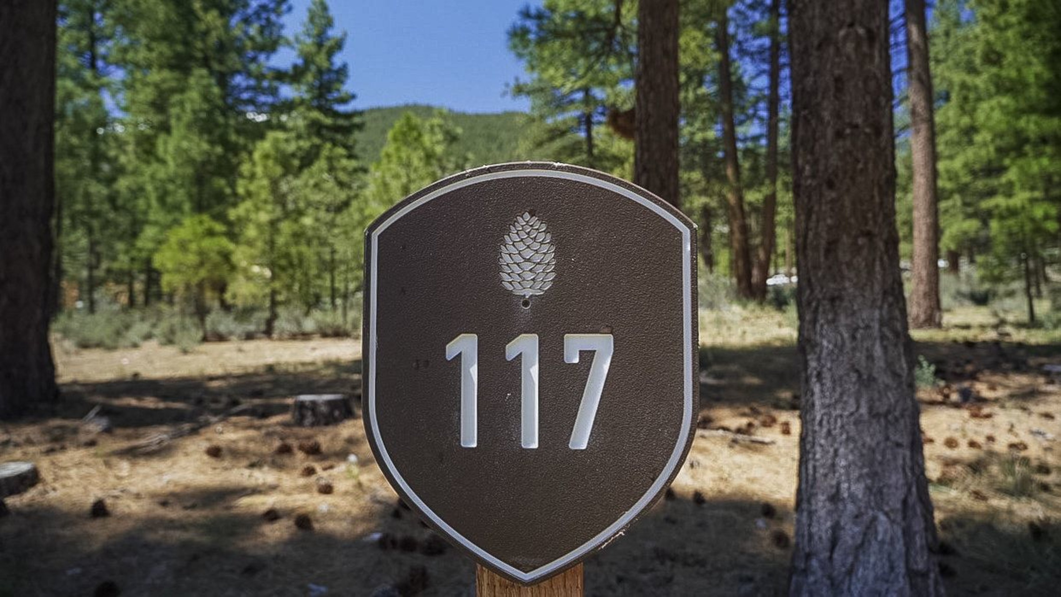  Two Extraordinary Pieces of Land in Clear Creek Tahoe - 物件實景
