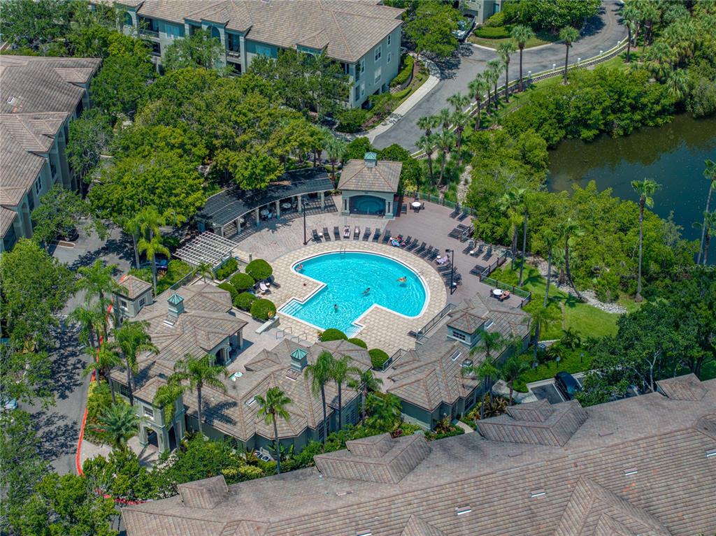 Tampa, Florida, 33602, United States, 3 Bedrooms Bedrooms, ,2 BathroomsBathrooms,Residential,For Sale,1895727
