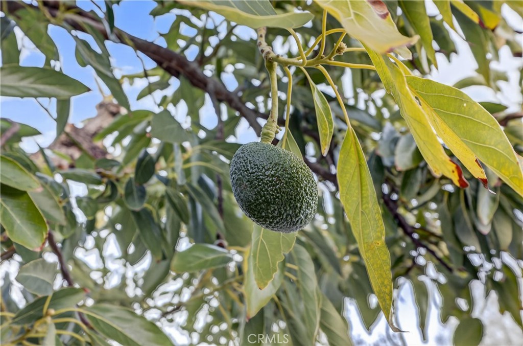 Corona, California, 92883, United States, 4 Bedrooms Bedrooms, ,2 BathroomsBathrooms,Residential,For Sale,2009090