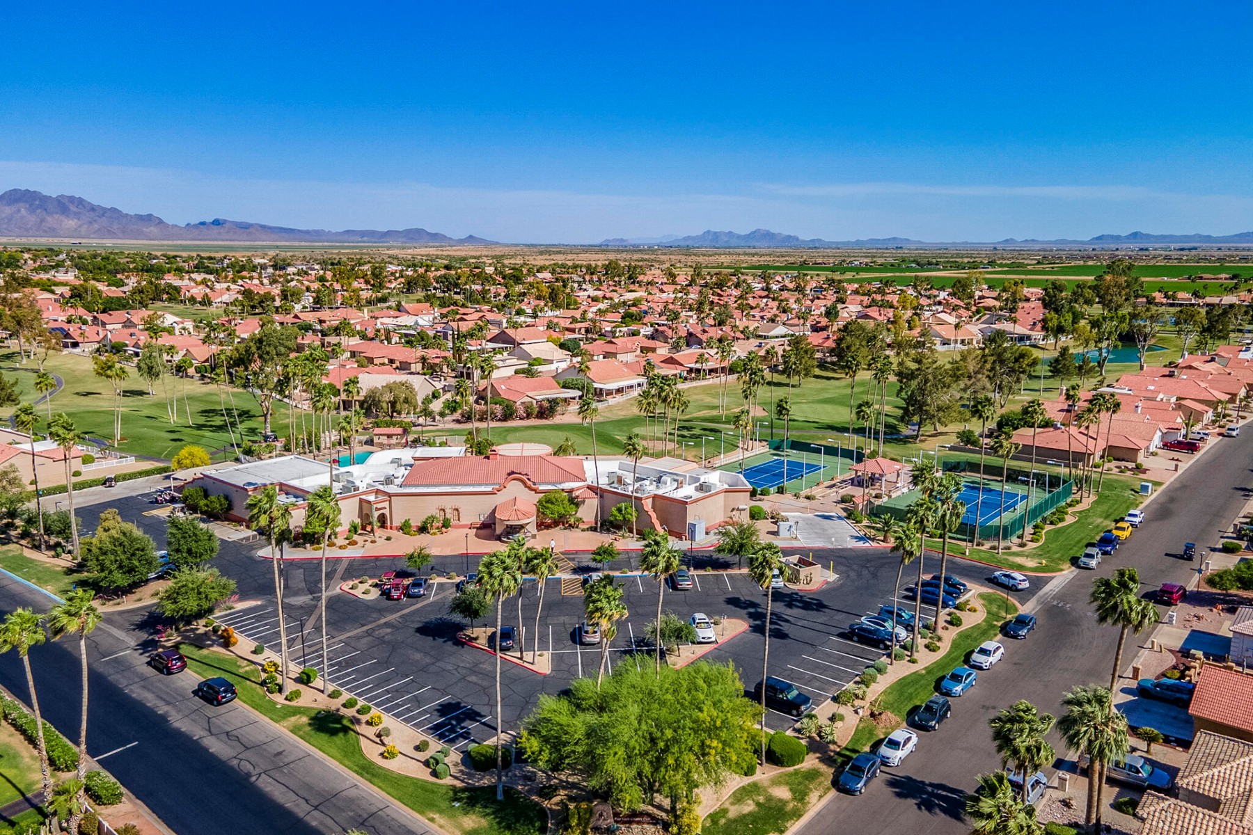  26202 S Flame Tree Drive  Sun Lakes, AZ - 物件實景
