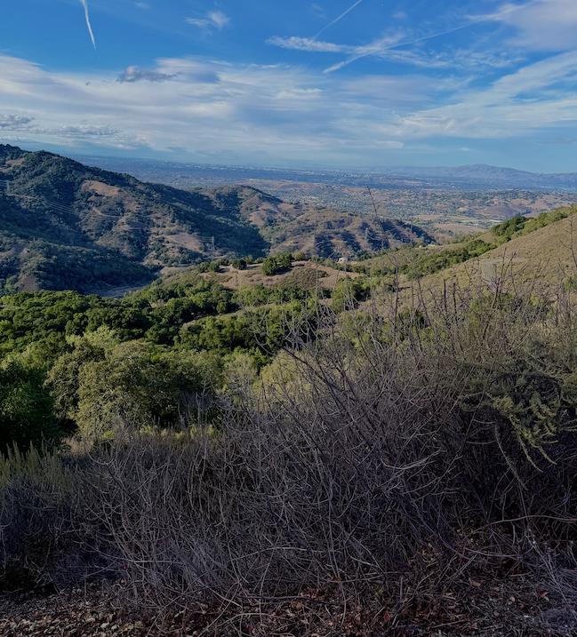 San Jose, California, 95120, United States, ,Land,For Sale,1999646
